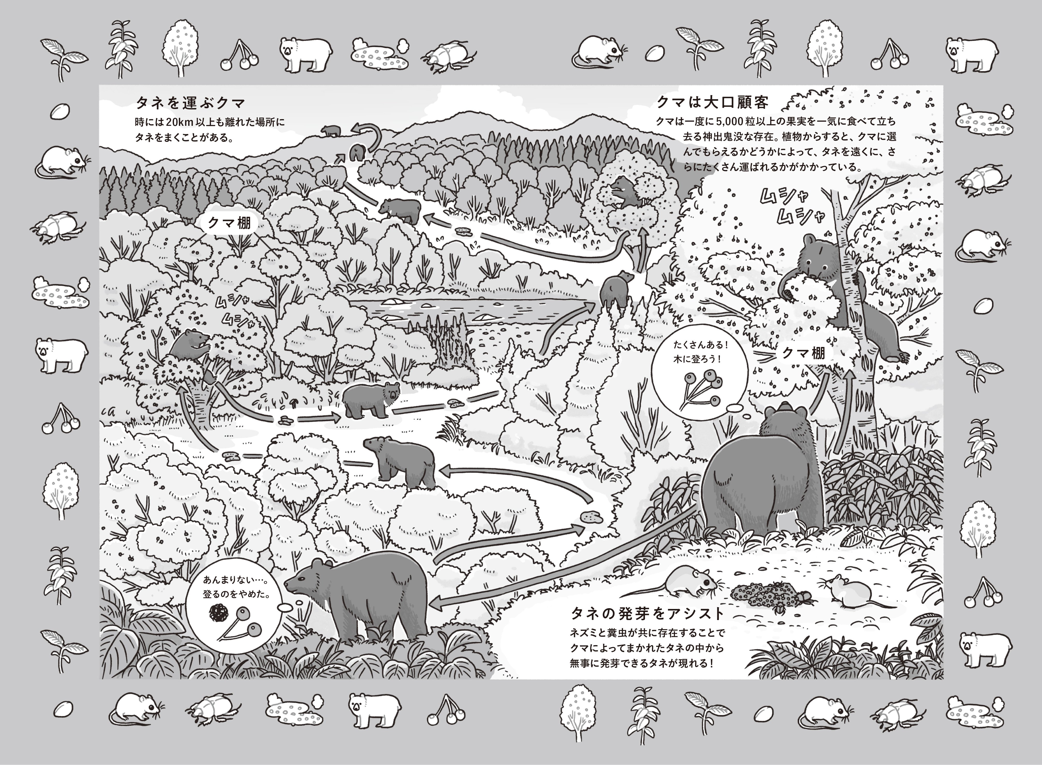 タネまく動物のつもりになって絵を描く｜ブンイチ（文一総合出版）