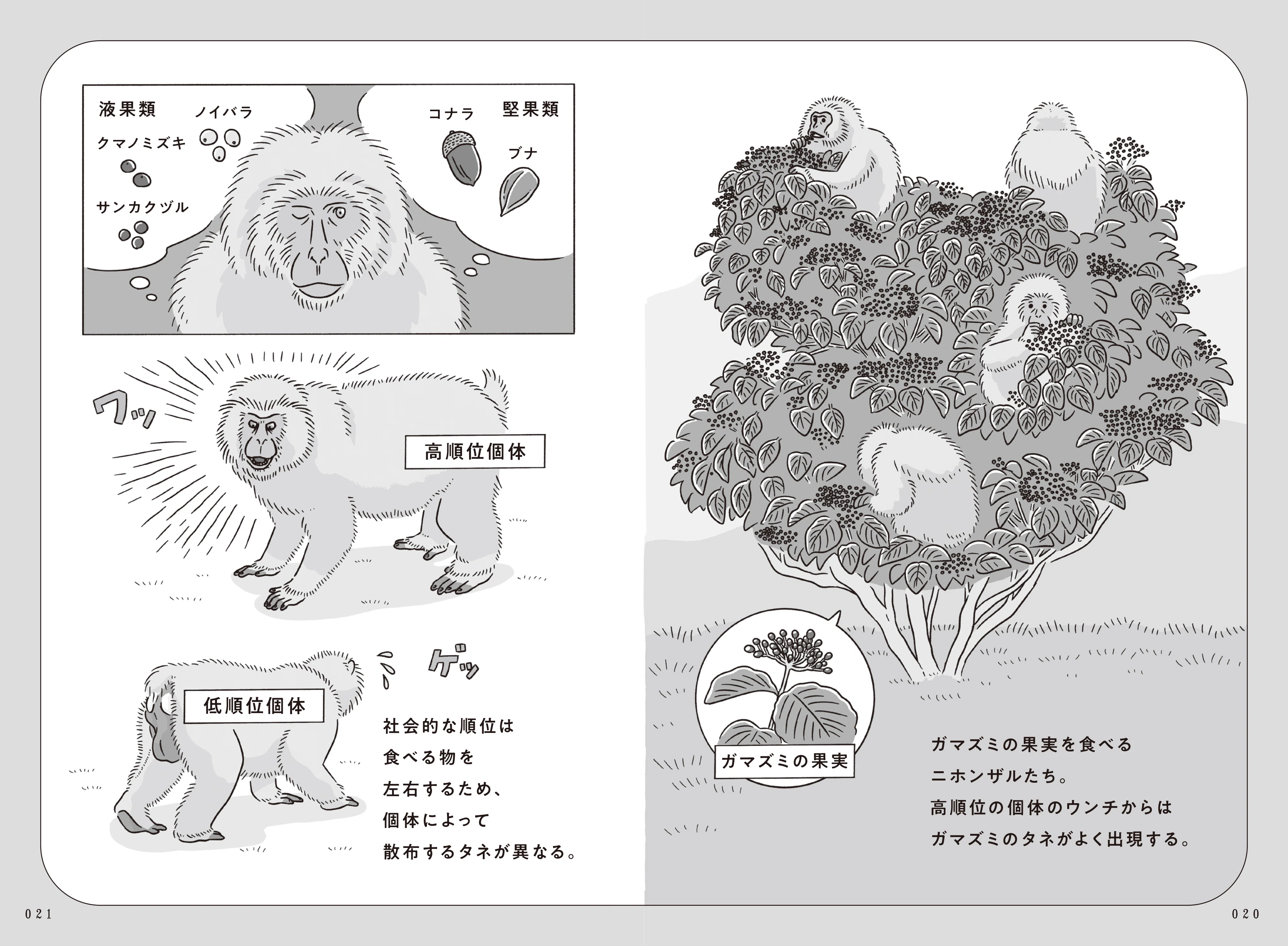 タネまく動物のつもりになって絵を描く｜ブンイチ（文一総合出版）