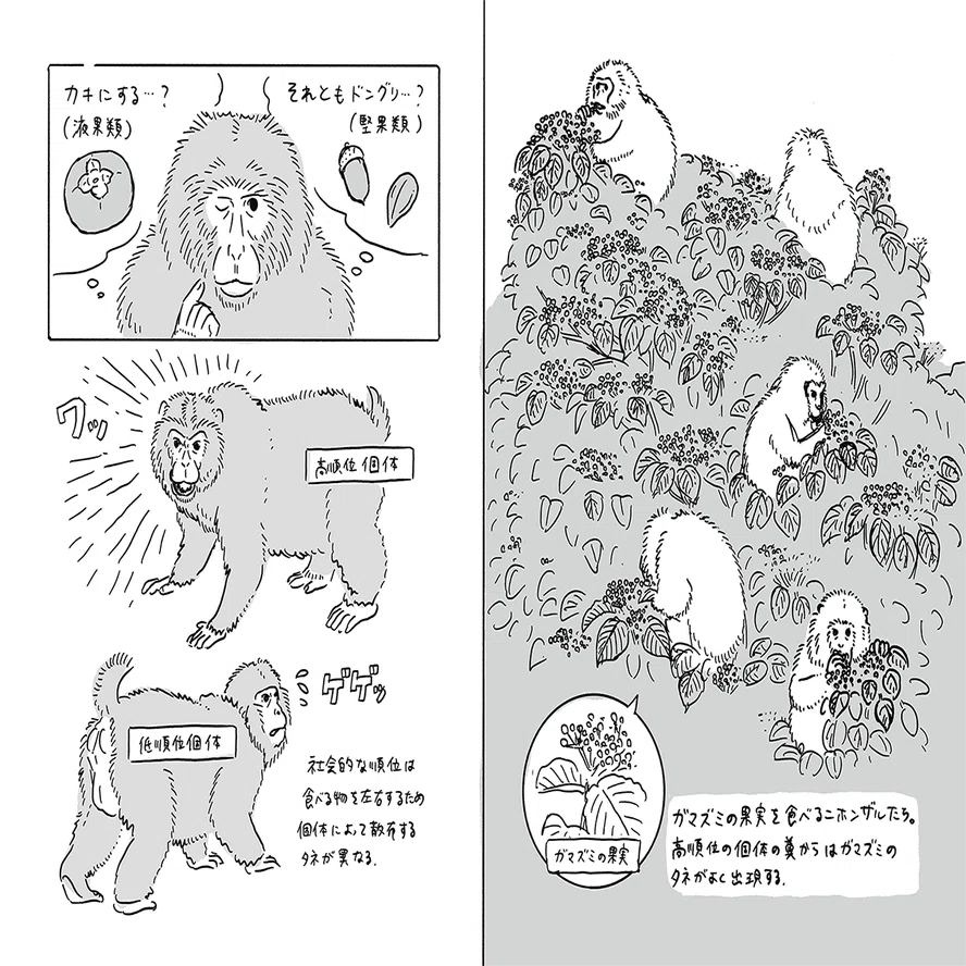 タネまく動物のつもりになって絵を描く｜ブンイチ（文一総合出版）