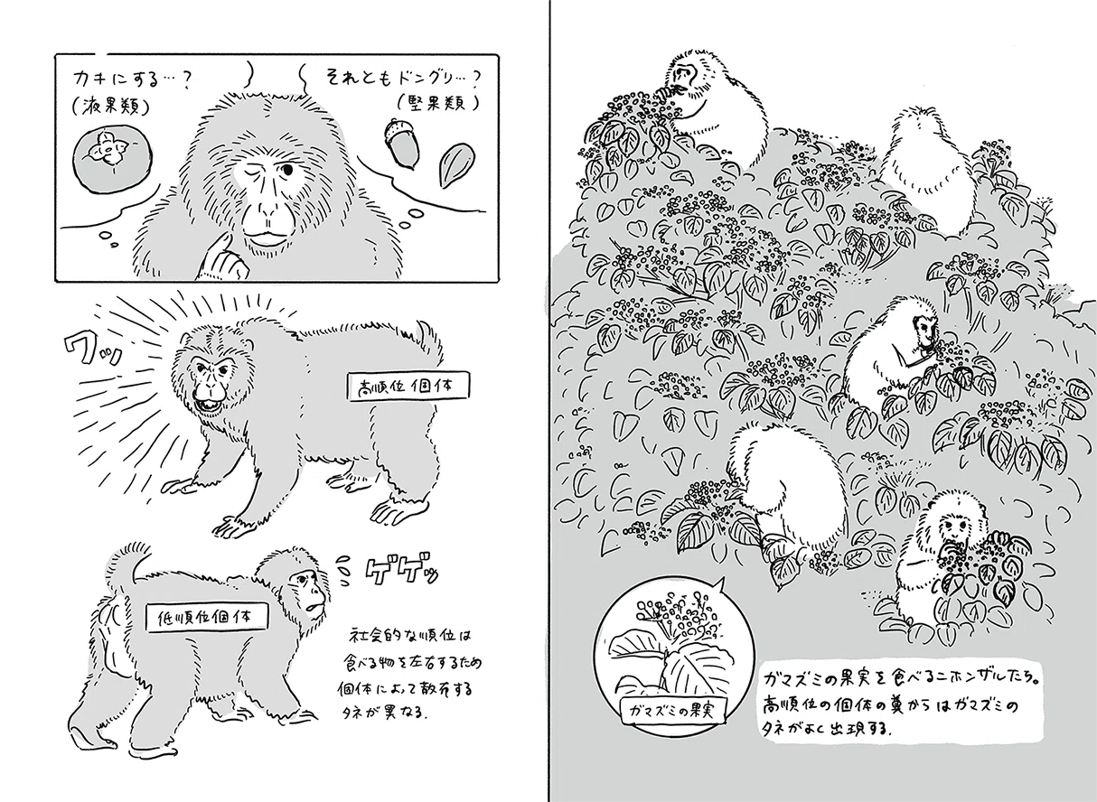 タネまく動物のつもりになって絵を描く|ブンイチ(文一総合出版) タネまく動物のつもりになって絵を描く|ブンイチ(文一総合出版)