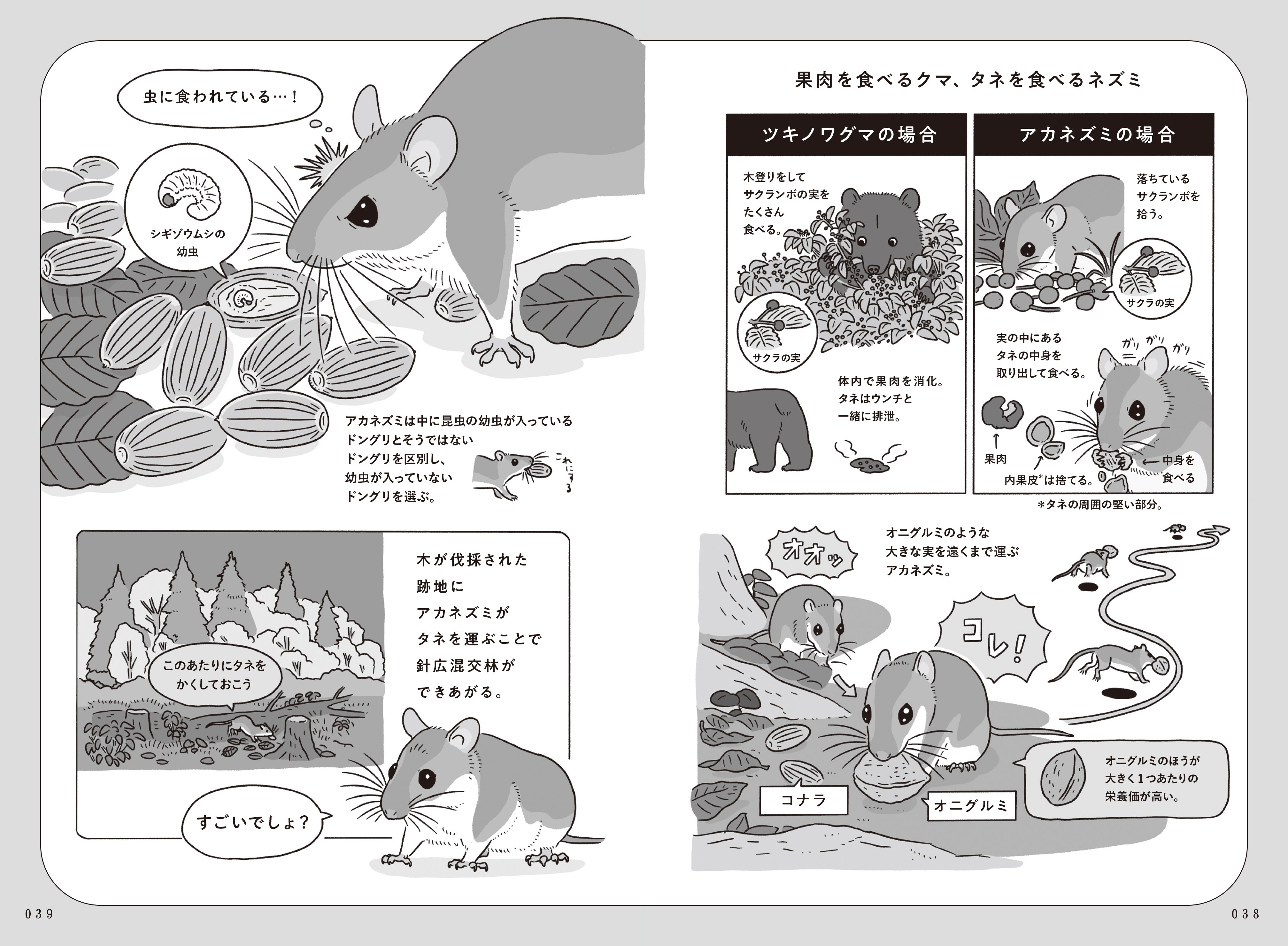 その他動物 図柄選択用ページ タネまく動物のつもりになって絵を描く｜ブンイチ（文一総合出版）