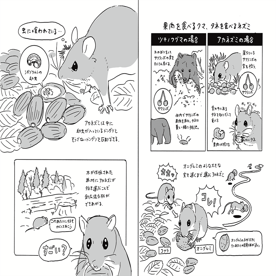 タネまく動物のつもりになって絵を描く｜ブンイチ（文一総合出版）