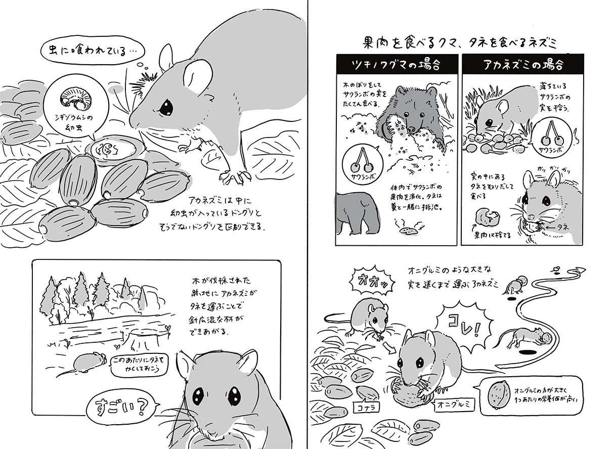 タネまく動物のつもりになって絵を描く|ブンイチ(文一総合出版) タネまく動物のつもりになって絵を描く|ブンイチ(文一総合出版)