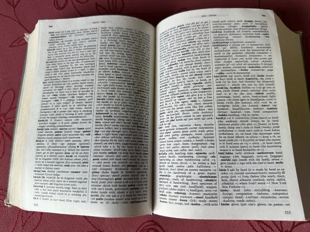 フィンランド語の辞書を積んでみた｜北欧語書籍翻訳者の会