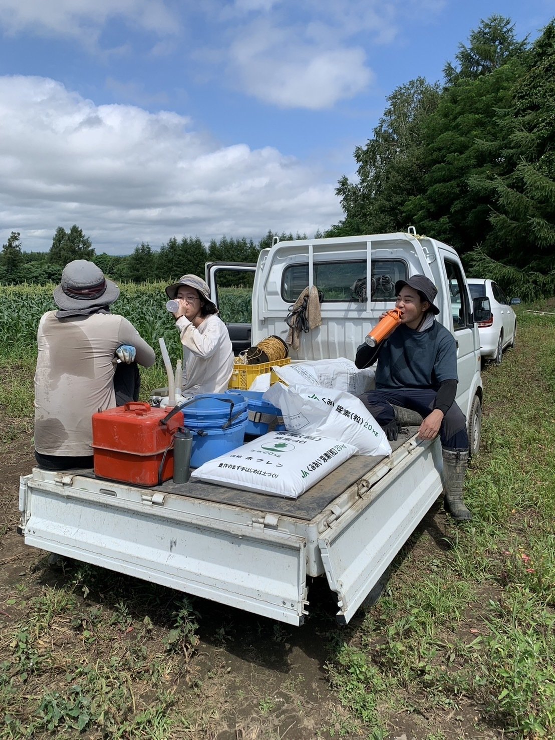 豊作のミホちゃん20kg