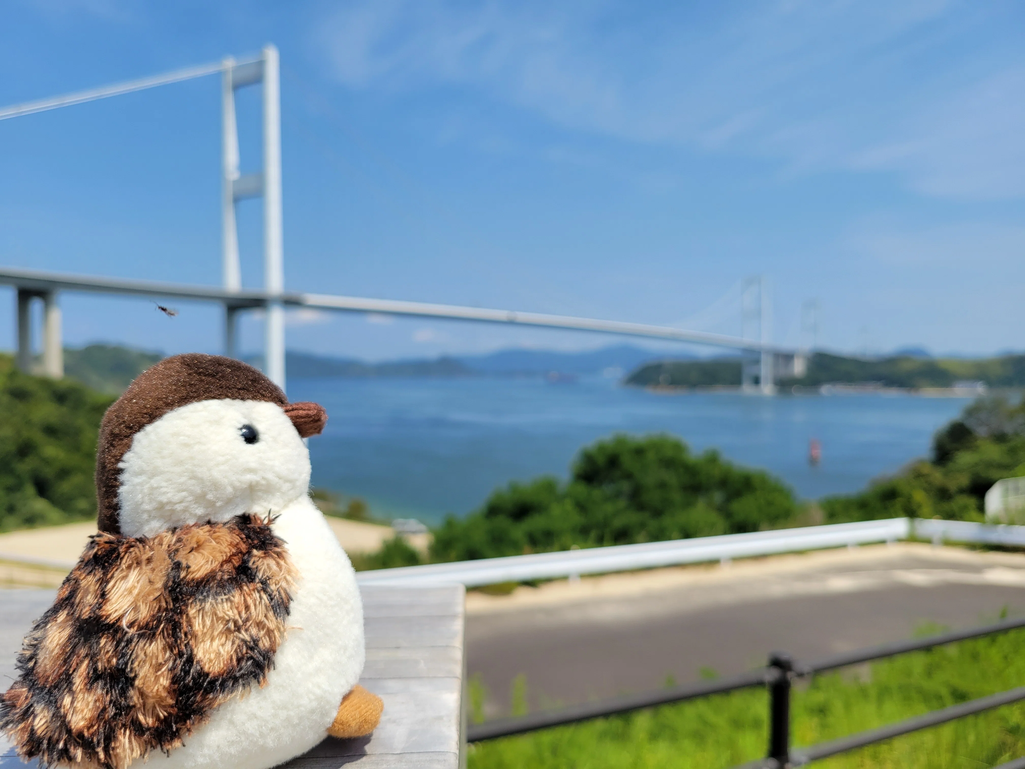 ぬい撮りSP】雷鳥ラックの大冒険🐦✨愛知～愛媛編｜Yukihiro🧸