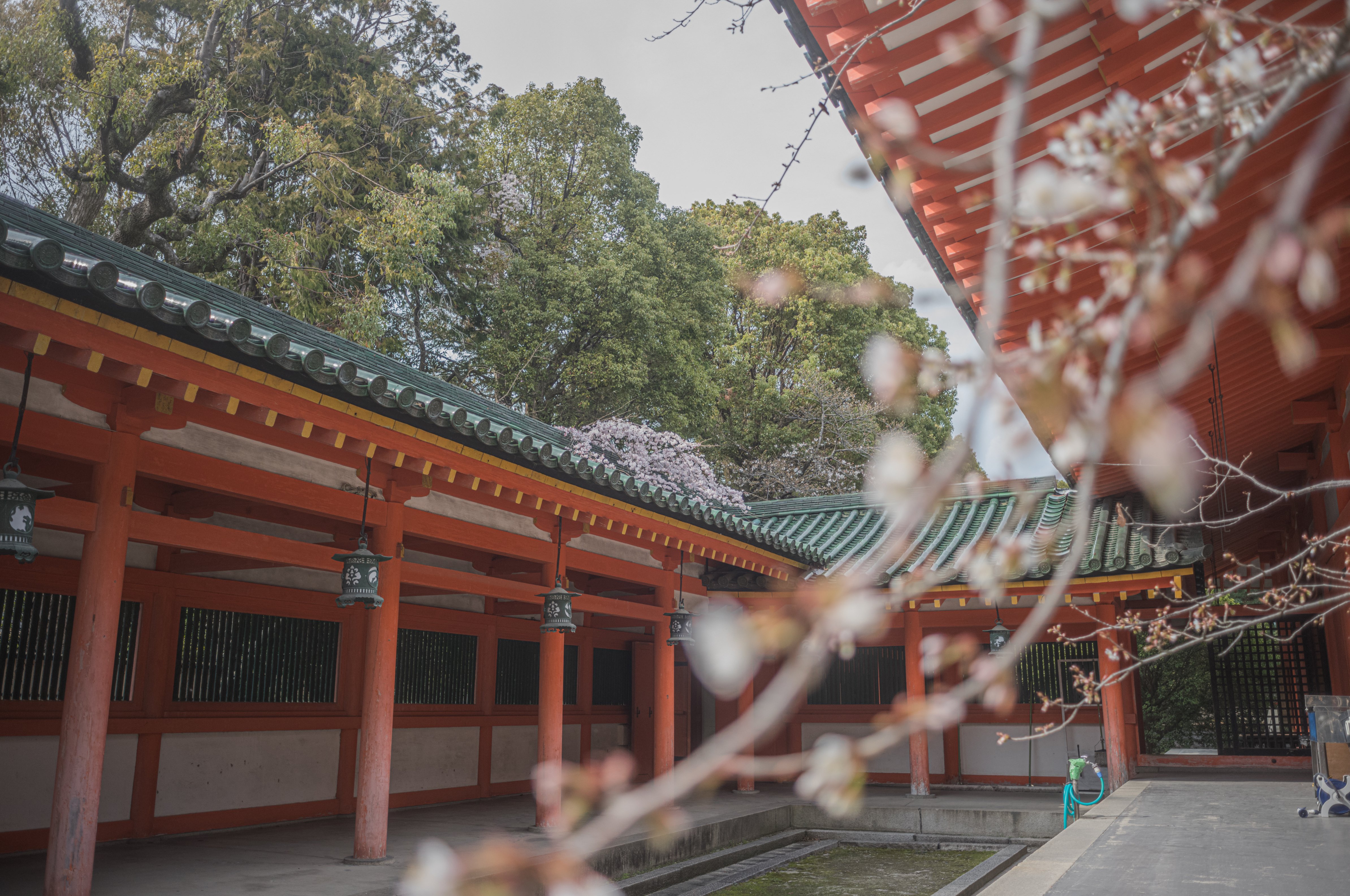 28 🔭 Minolta M-Rokkor 28mm F2.8 Mマウントレンズ オールドレンズ