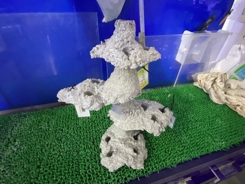 ライブロック 自然な形状 大きいです ライブロックの選び方は ライブロックの醍醐味は｜くまぱぱ
