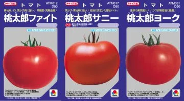 1 トマトは特撮ヒーロー化していた｜藤井青銅