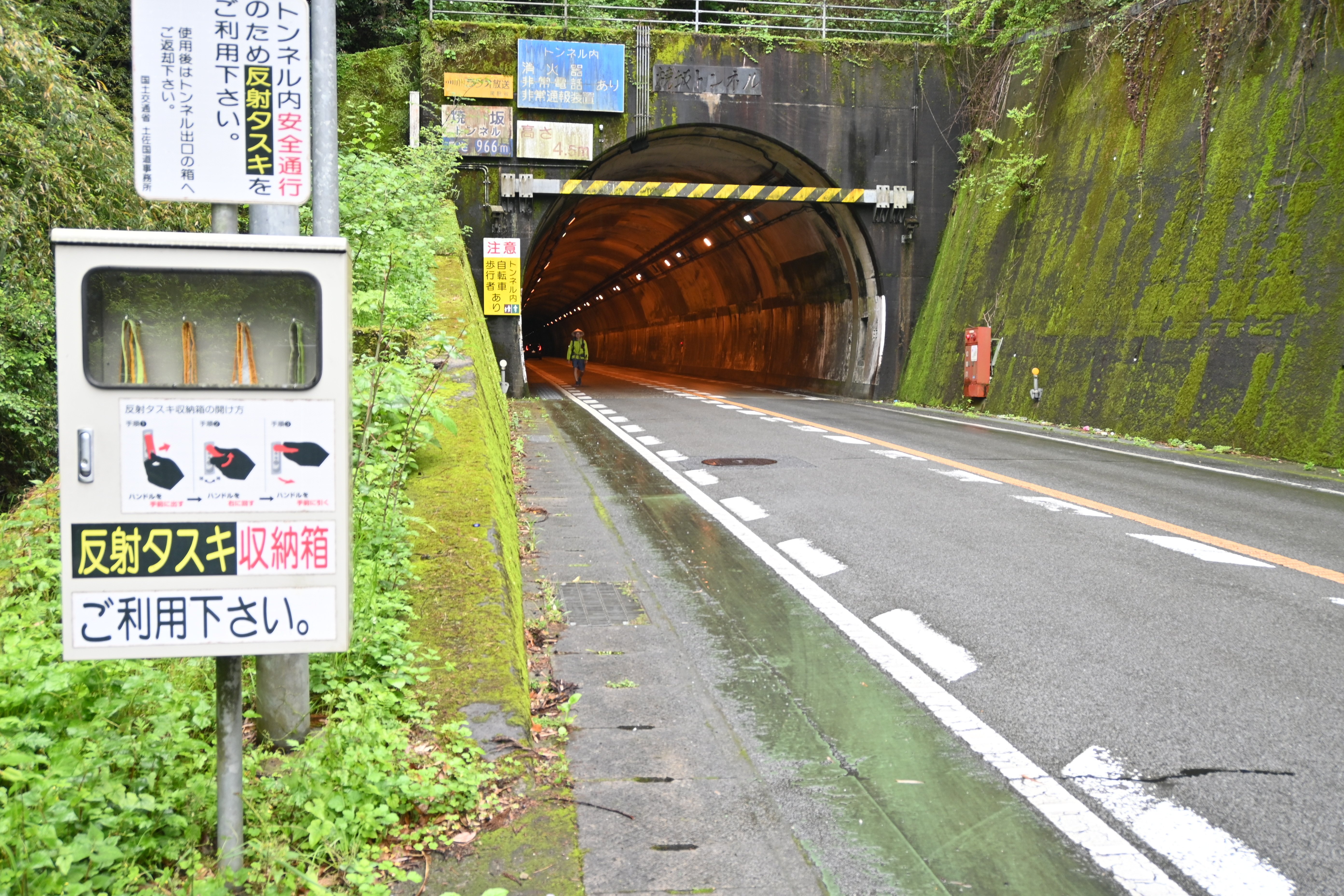 歩き遍路の記録_35【36番青龍寺〜土佐久礼】｜またろう