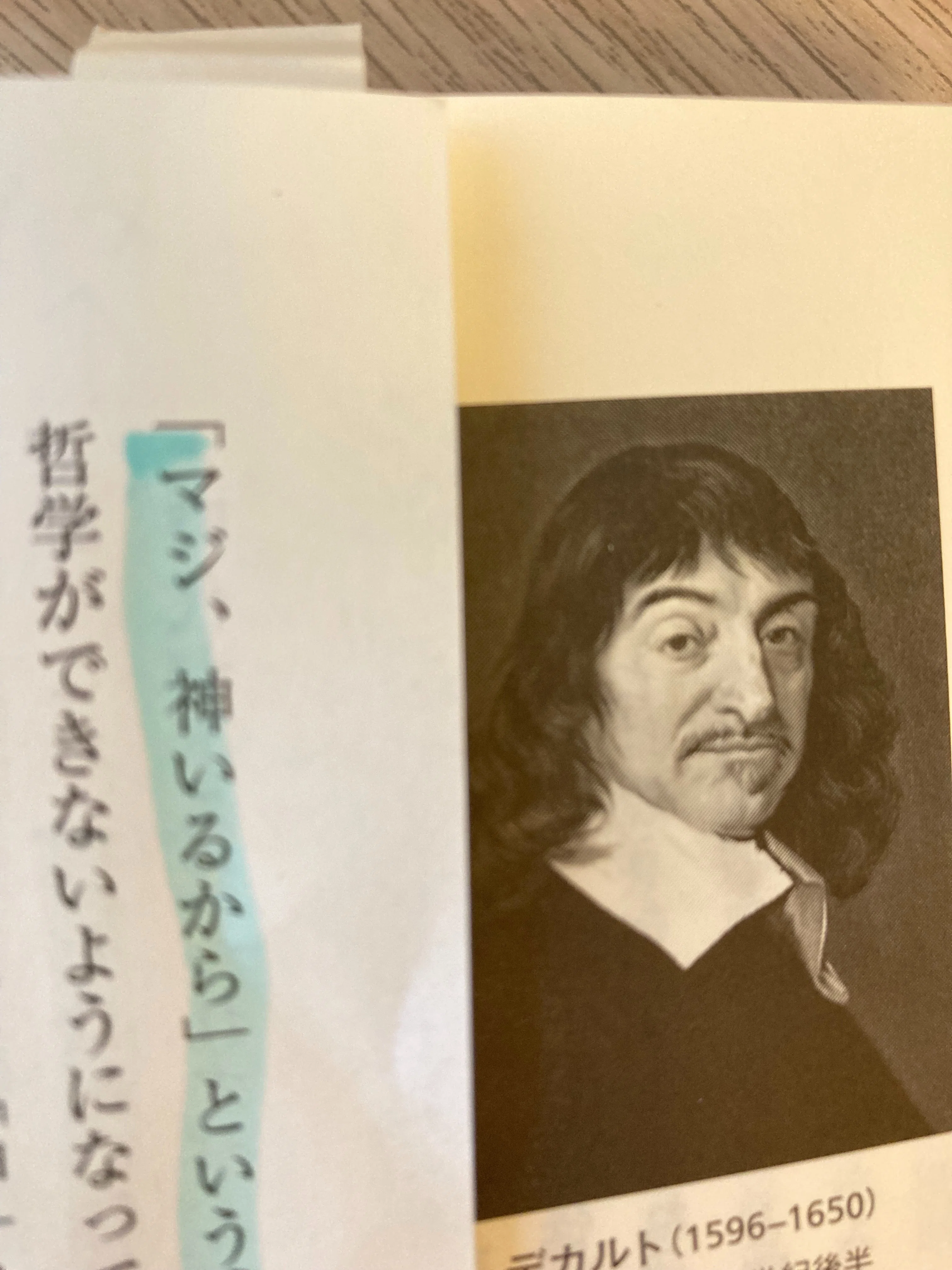 哲学史入門Ⅱ デカルトからカント、ヘーゲルまで 斎藤哲也編｜Nat