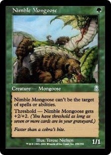 MTG】ミドルスクール参入のススメ2024｜TaMa