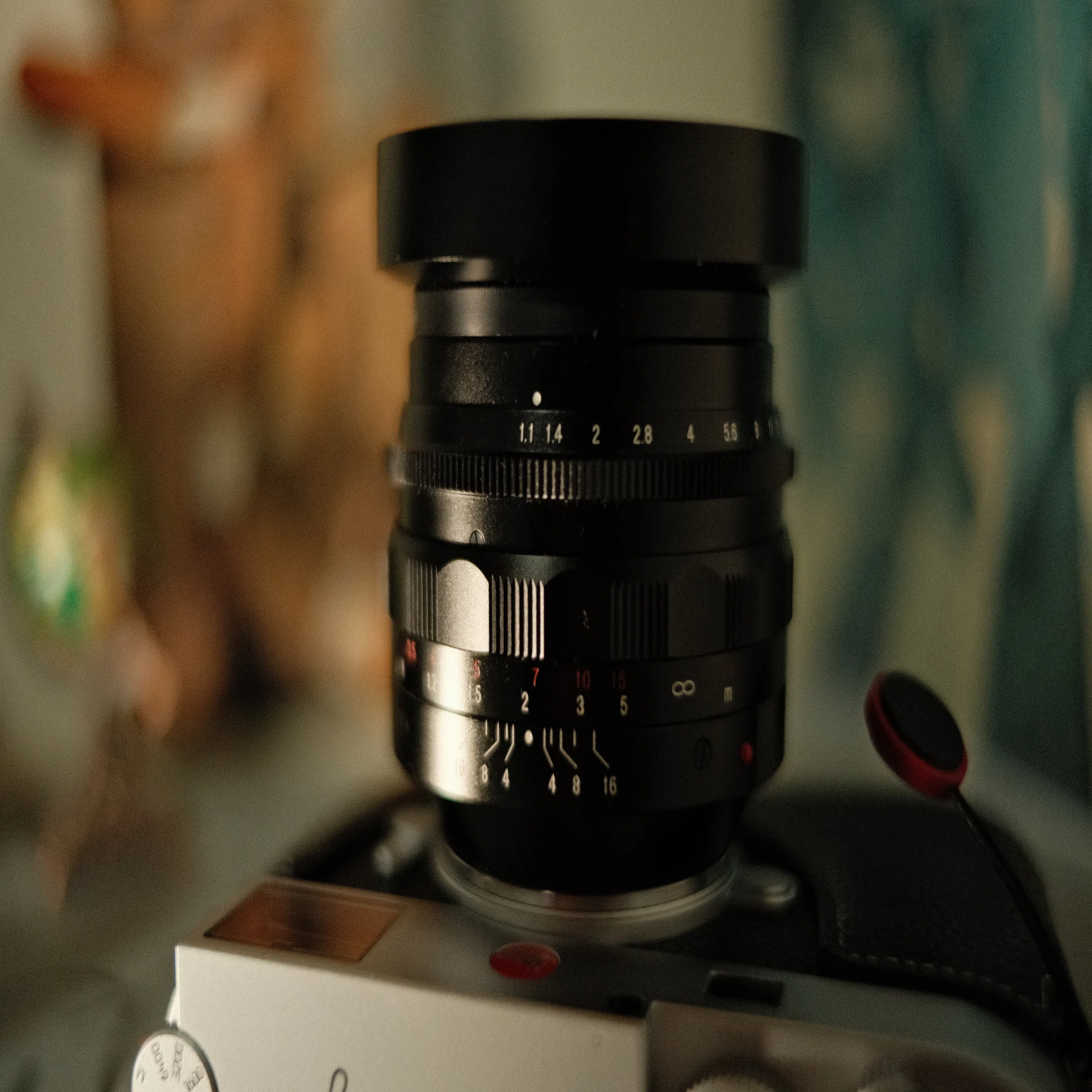 25 ?Voigtlander NOKTON 50mmF1.1 VMマウント｜Ynofilm