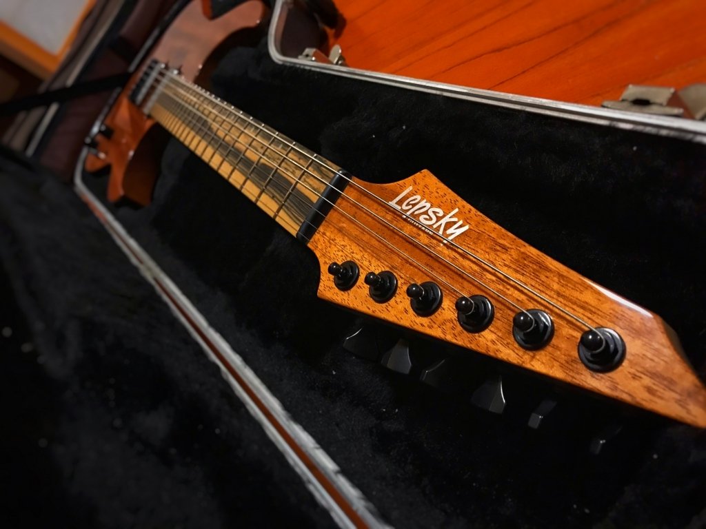 Lepsky Guitars Element 6 ギター　期間限定値下げ 登場! 6 Element - Guitars Lepsky ギター - ギター