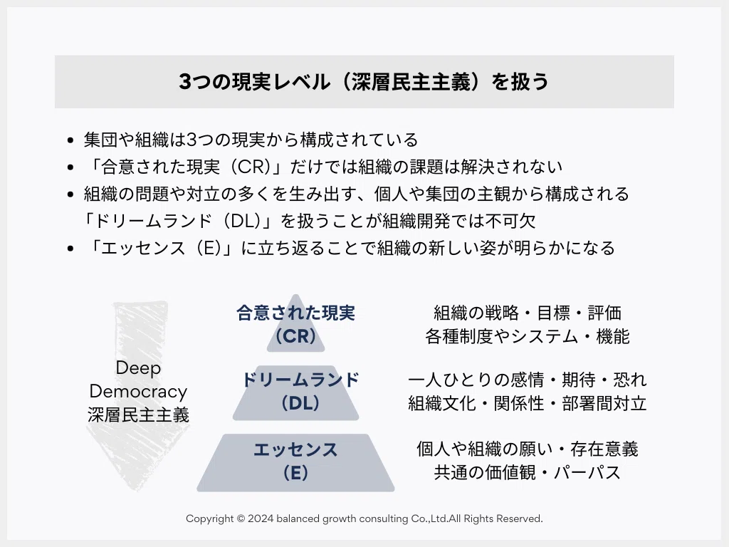 プロセスマインド プロセスワークのホリスティック&多次元的アプローチ プロセスマインド プロセスワークのホリスティック＆多次元的
