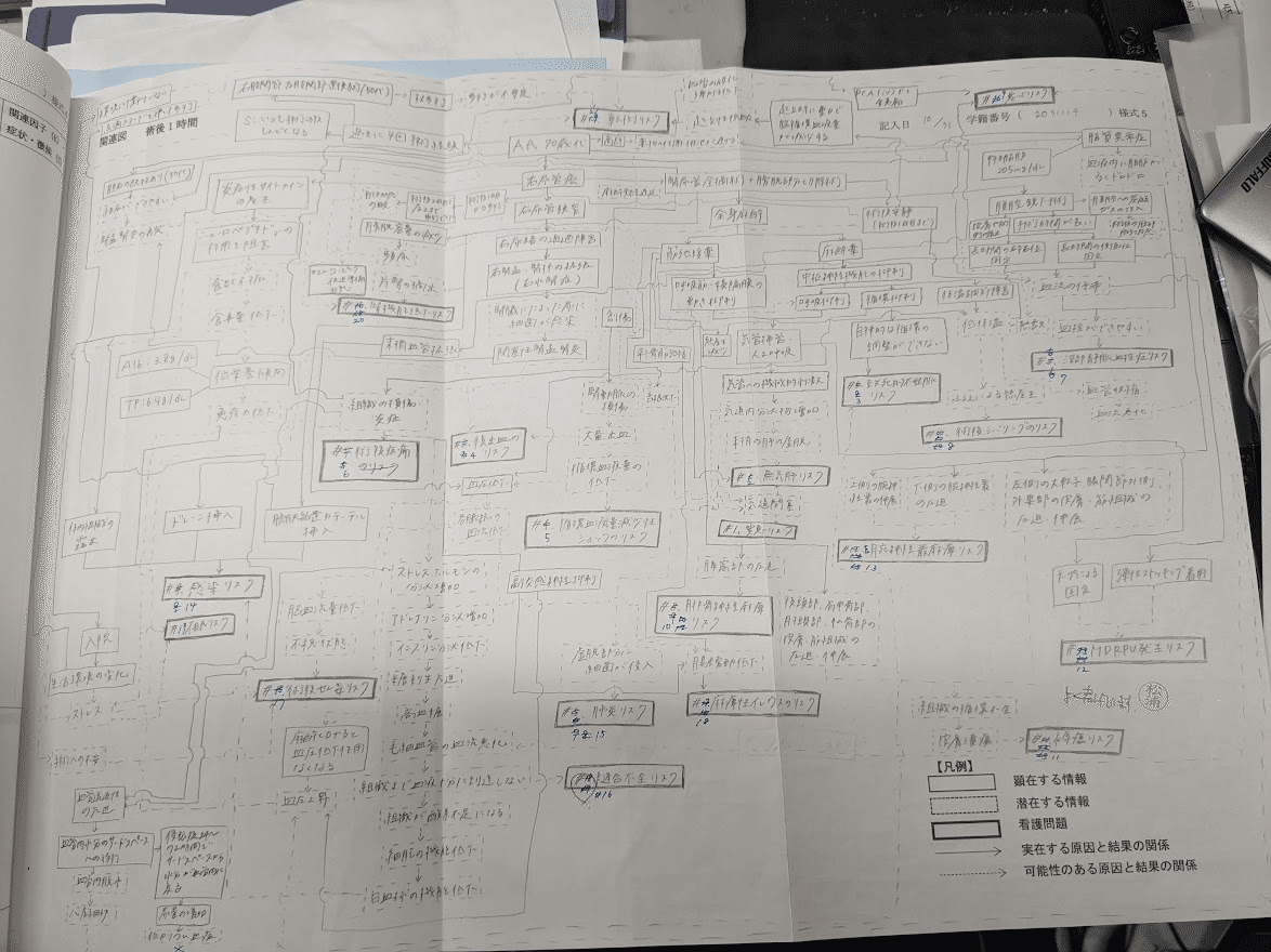 専用 看護学生 看護実習 看護学校 アセスメント 手順書 関連図 計画 国家試験 看護実習 看護学生 手順書 関連図 計画 看護過程 アセスメント