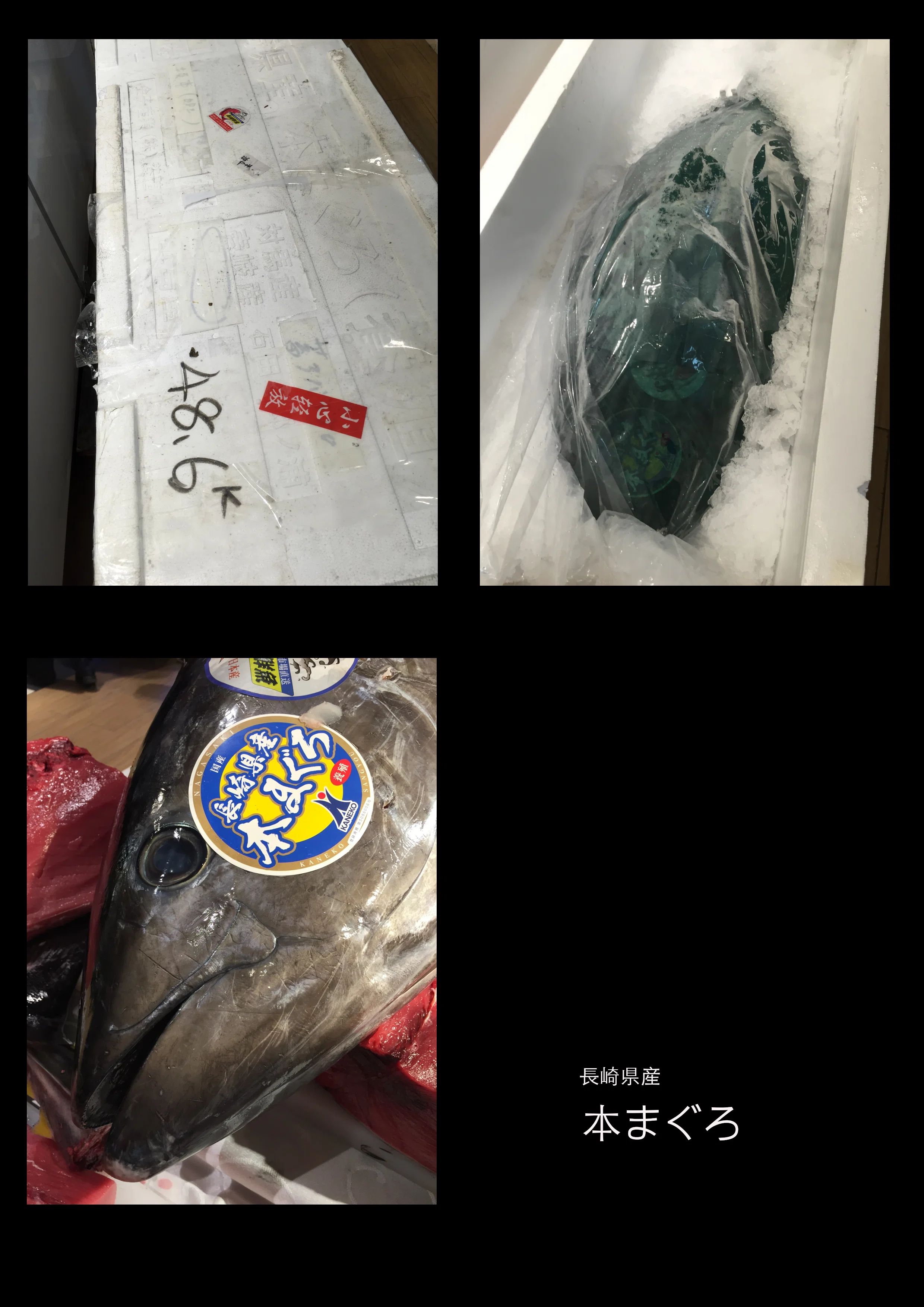 中国で食材と戯る。（46） マグロ-5 番外編｜古原貴大