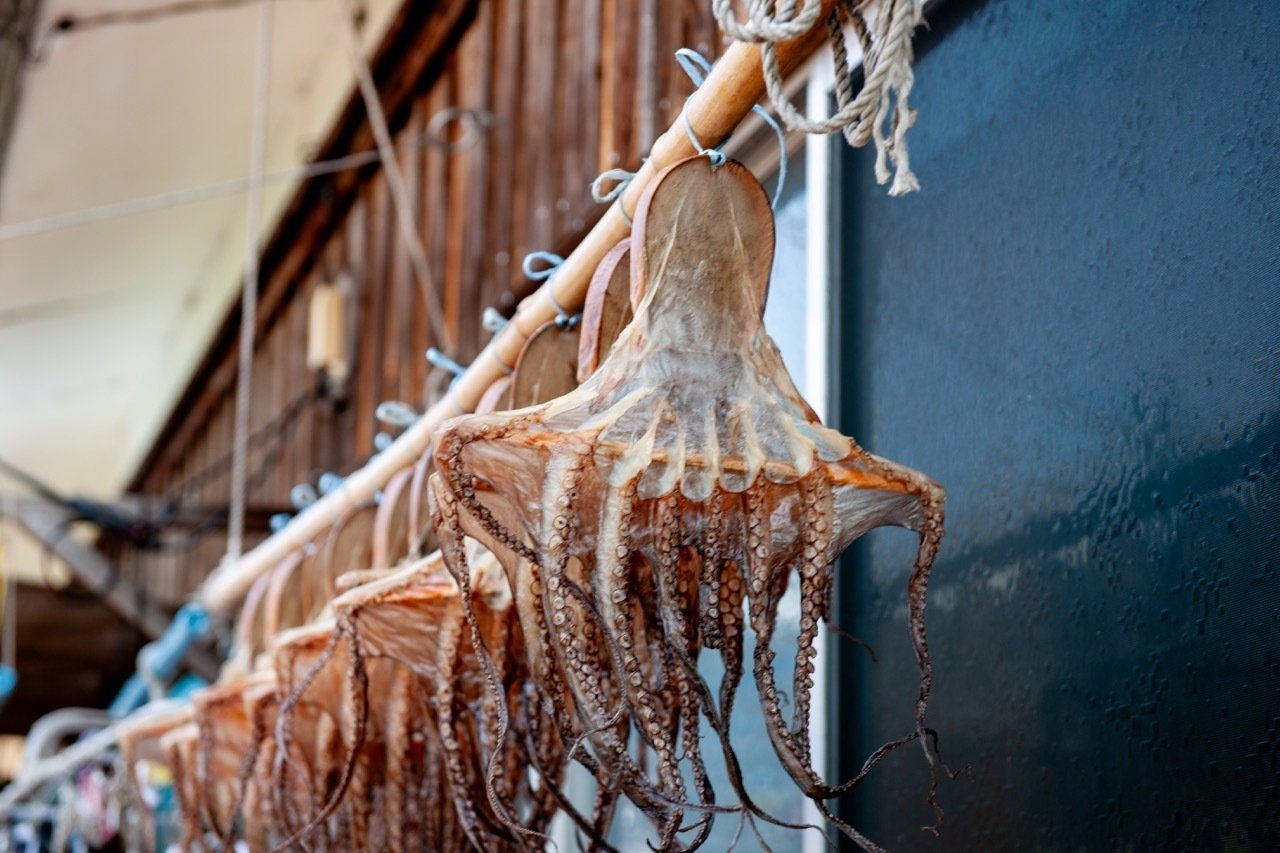 タコの習性を活かした伝統的なタコ壺漁。 【ニッポンの魚獲り