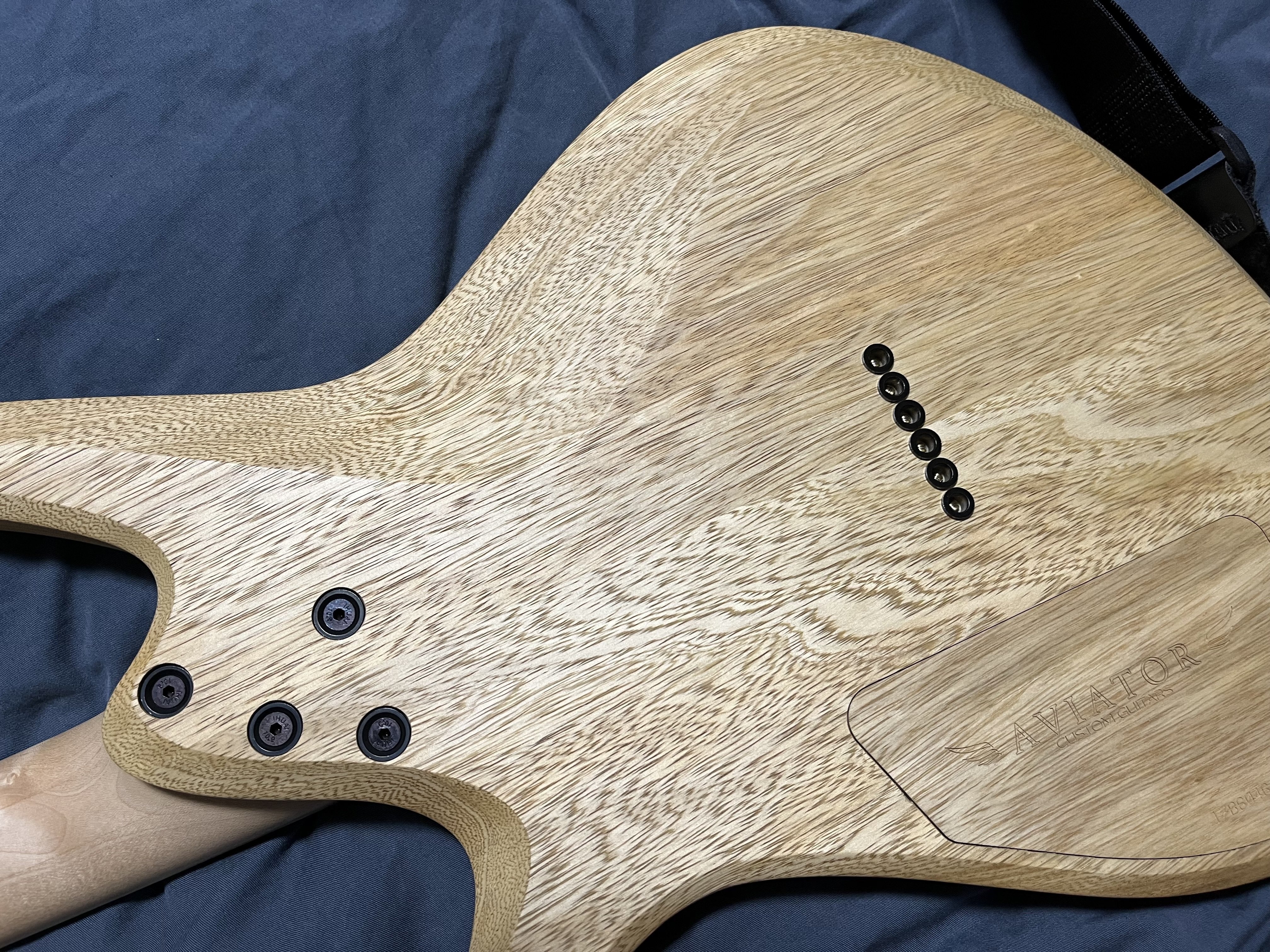 機材紹介(自慢)② Aviator Custom Guitar Blackbird 6 (666mm