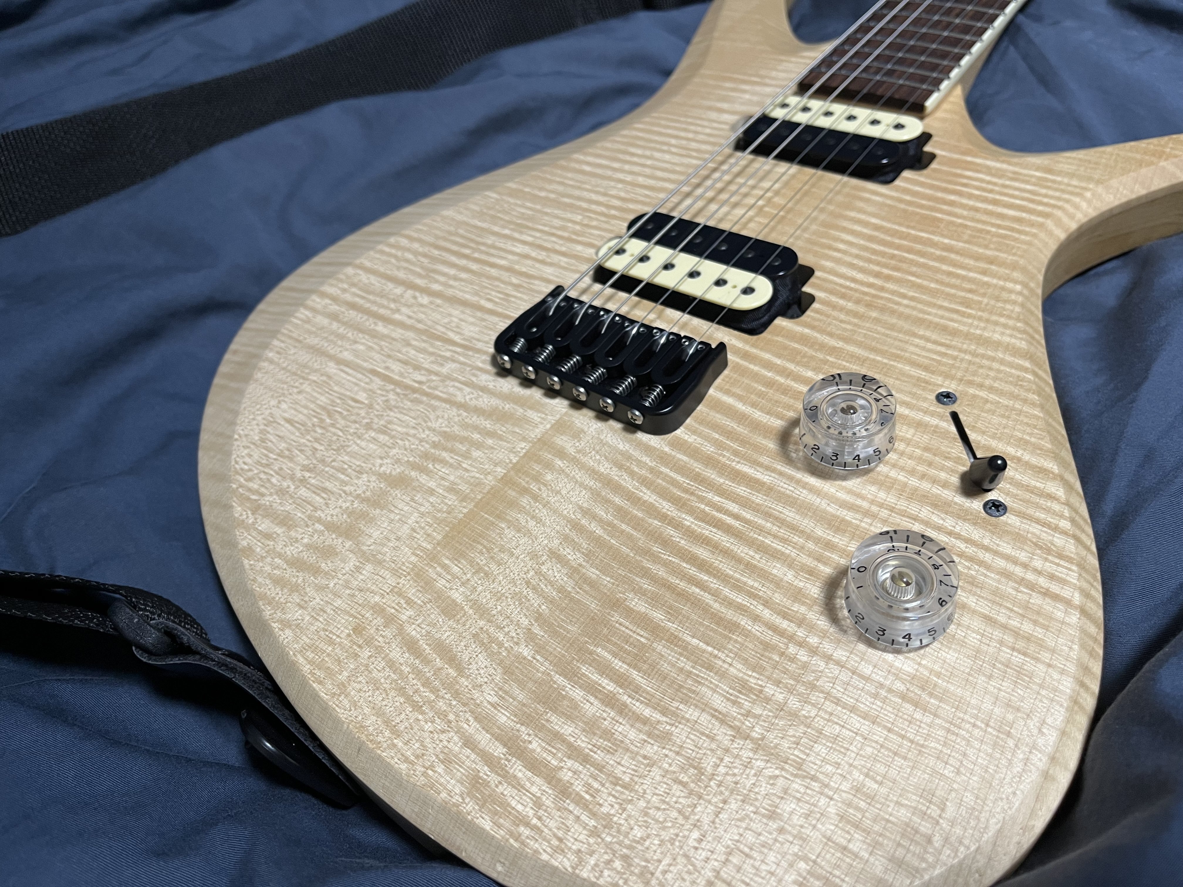 機材紹介(自慢)② Aviator Custom Guitar Blackbird 6 (666mm scale