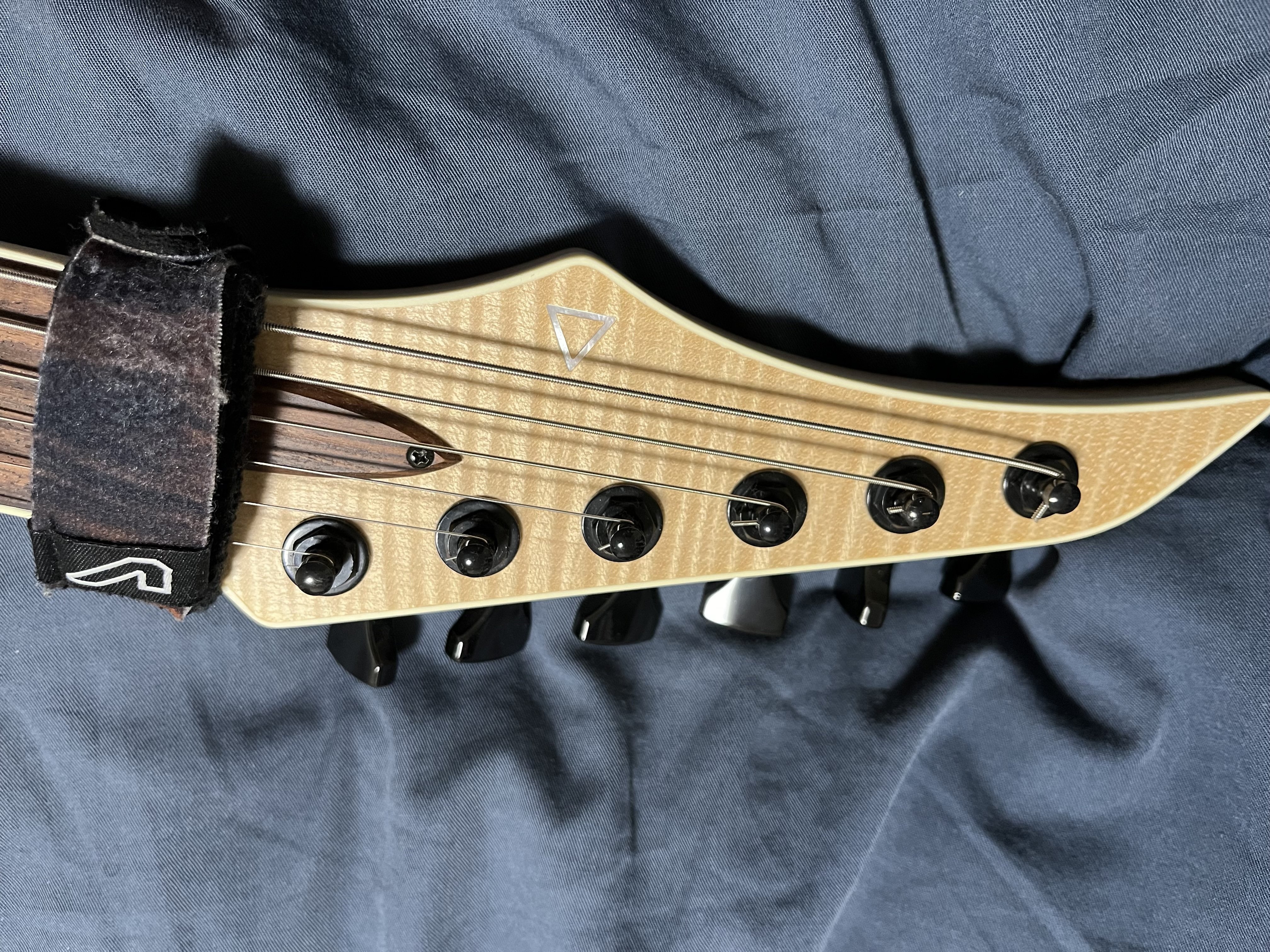 機材紹介(自慢)② Aviator Custom Guitar Blackbird 6 (666mm scale