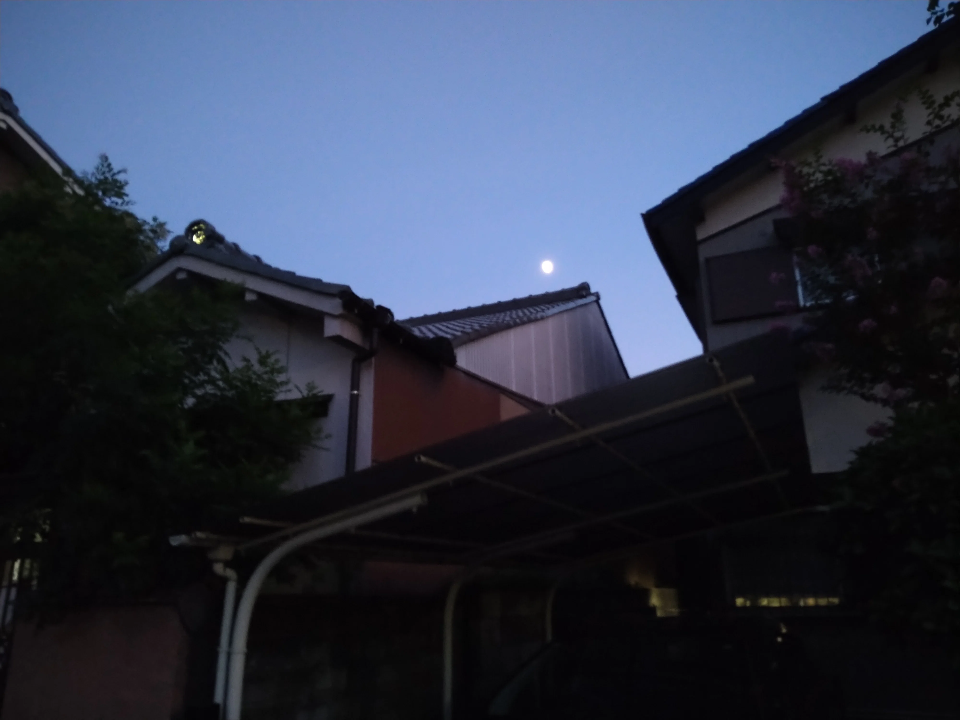 夕方|はざま