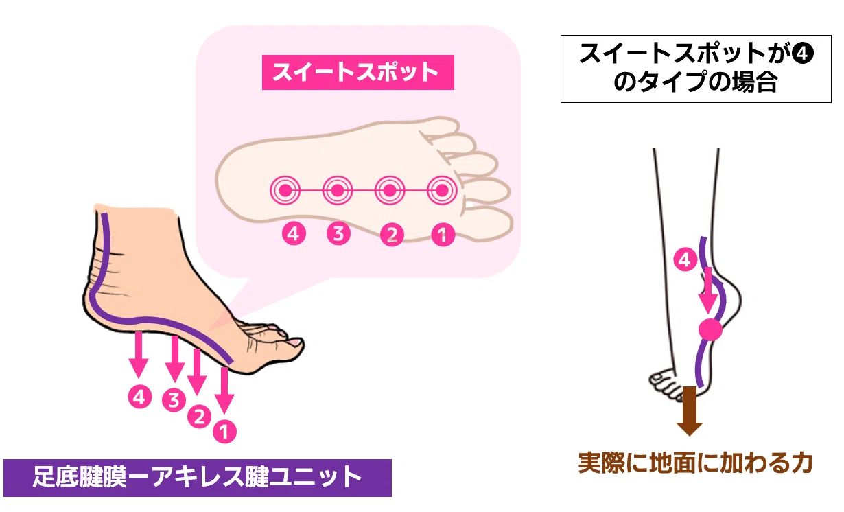 スイート スポット と は