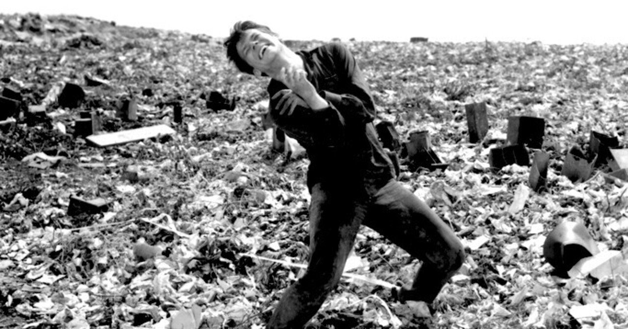 灰とダイヤモンド (映画) - Wikipedia