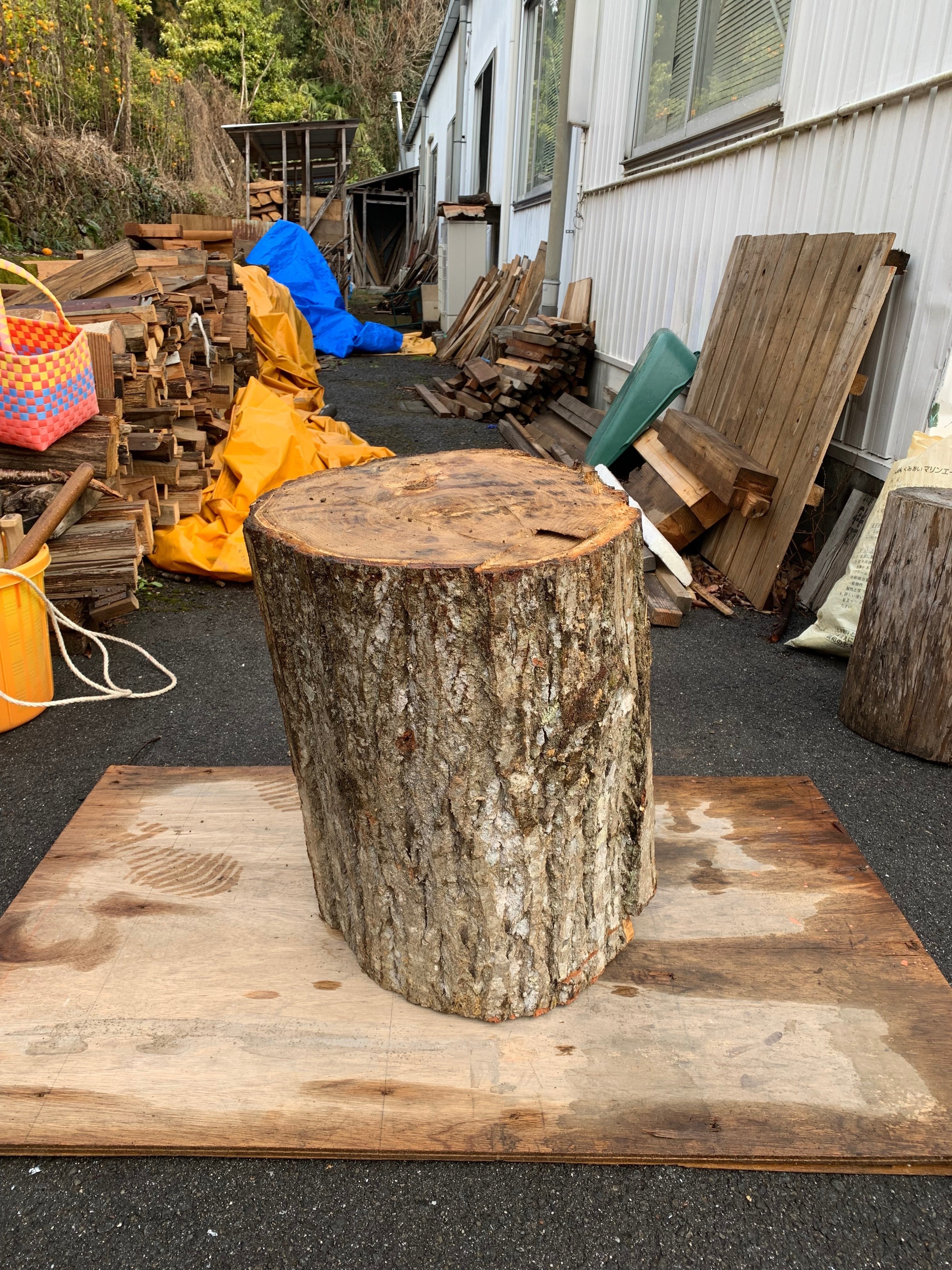 町の栗材で我谷盆をつくる その①｜知的な手／つくることは考えること