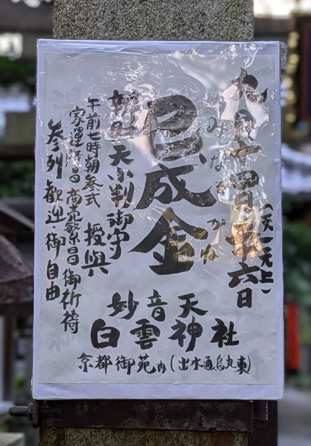 白雲神社　巳成金　小判御守り　金運向上　音楽関係成功　家運隆盛　商売繁盛 白雲神社 巳成金 小判御守り 金運向上 音楽関係成功 家運隆盛