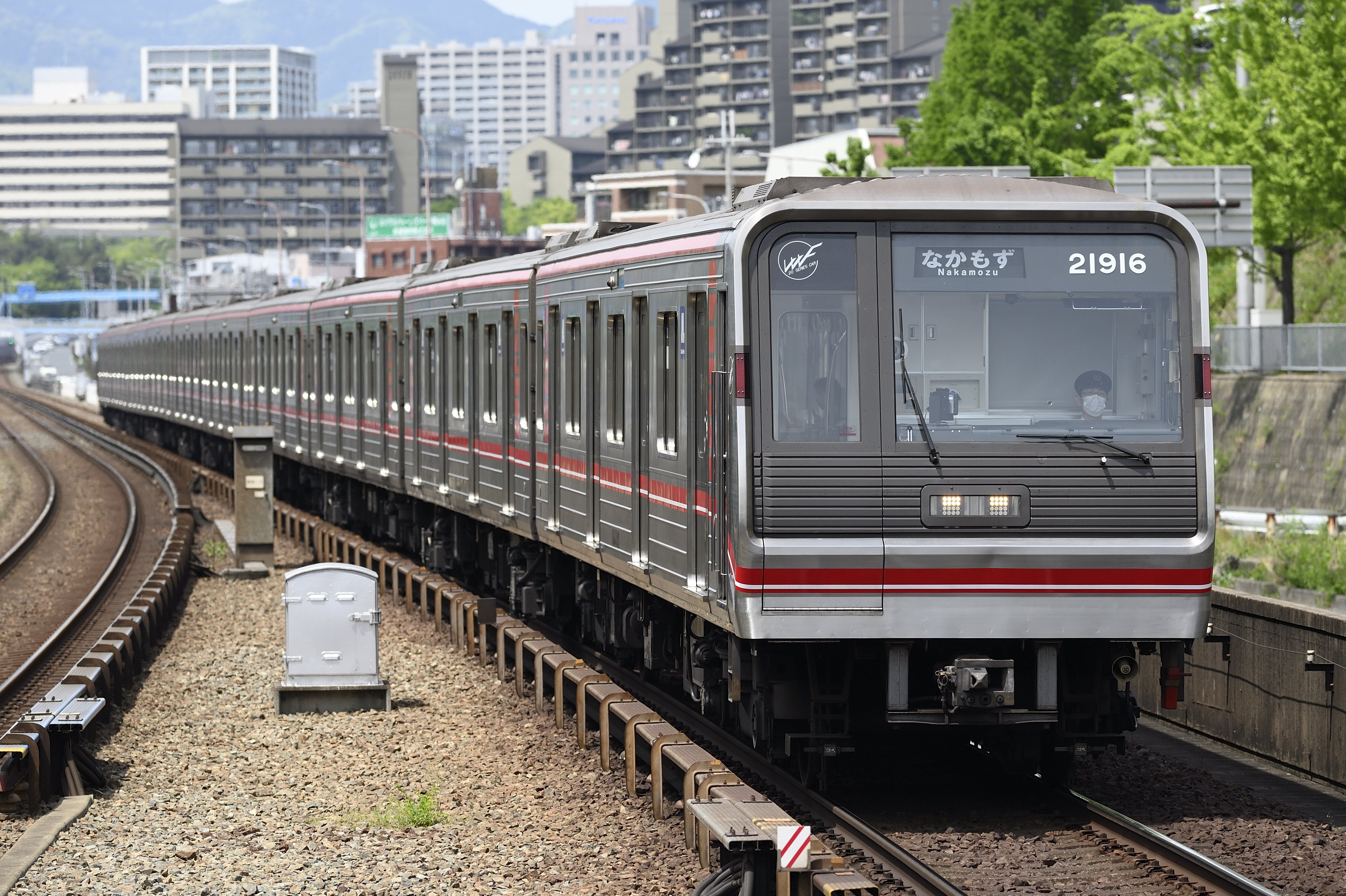 レンズレビュー】SAMYANG 135mm F2 ED UMC｜鷺