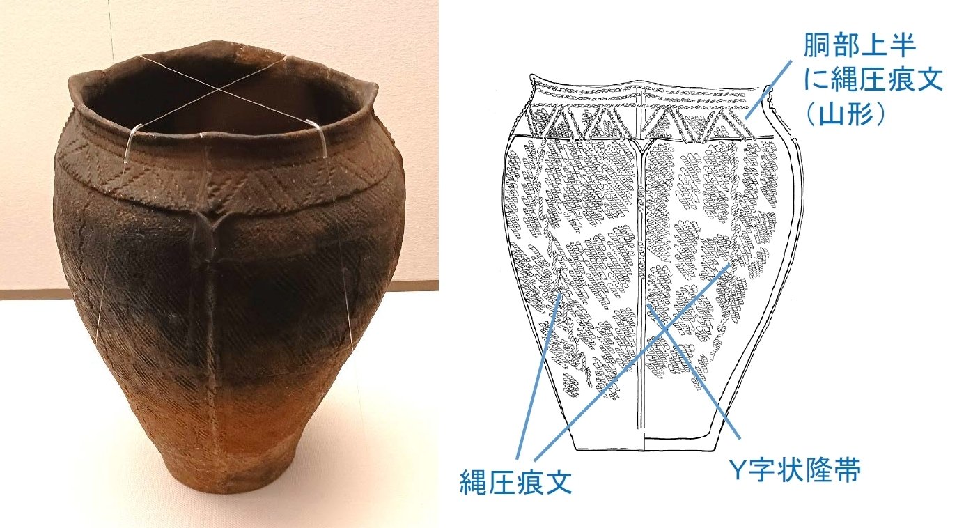 大木式土器の変貌（2）【縄文DX ー会津・法正尻遺跡と交流の