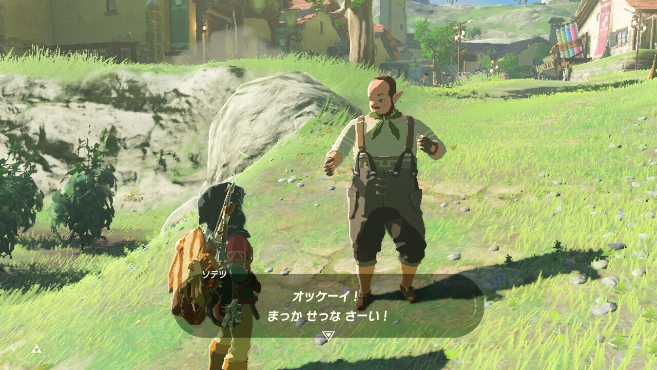 あ*い様 100年前のハイラル満喫セット！