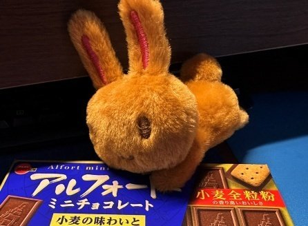 ♡ゆかりん♡ ゆかりんライブ～どんな感じなのか？｜hiyukiro