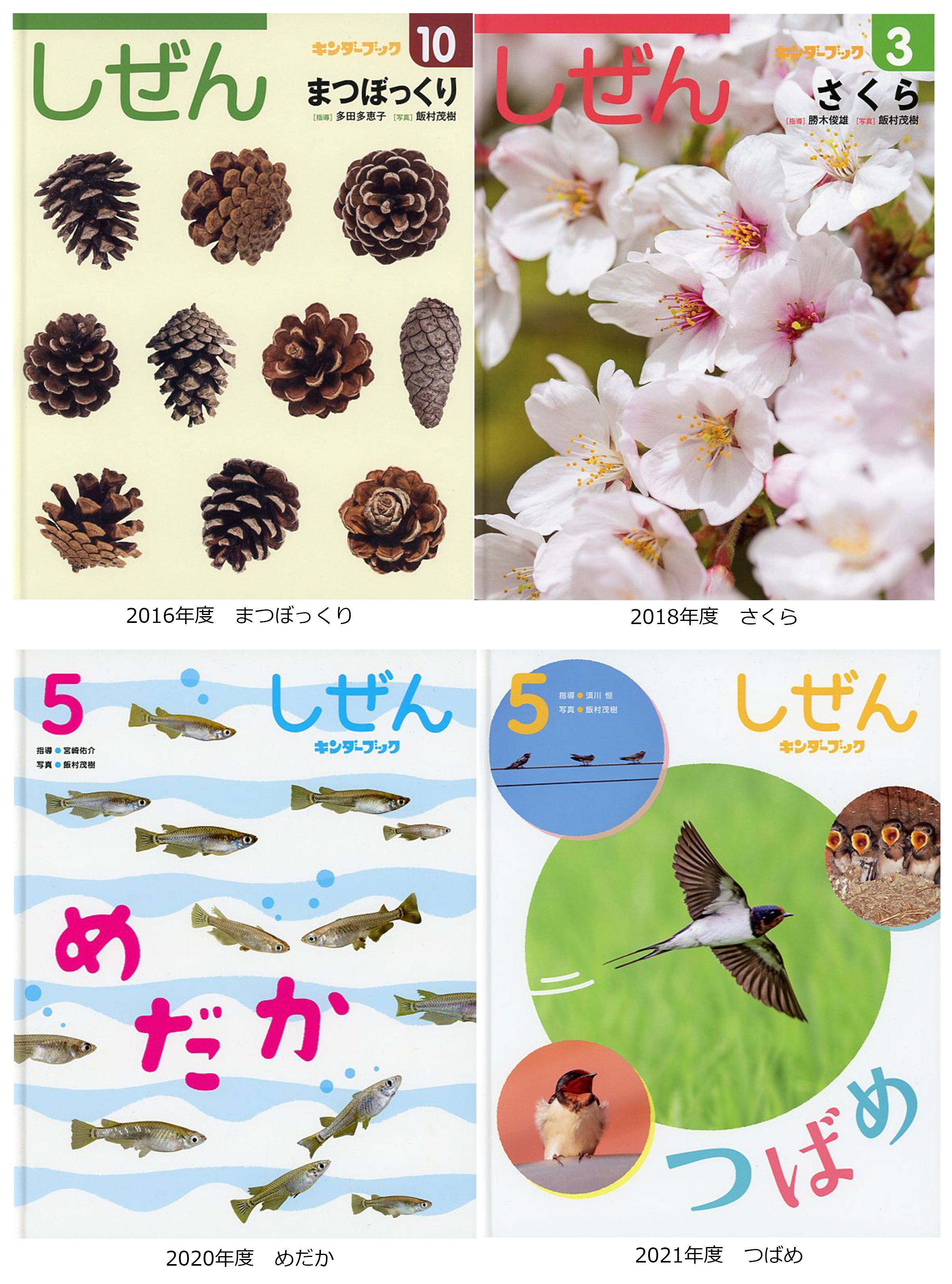 しぜん キンダーブック 2020年度版 12冊セット販売 フレーベル館 しぜん キンダーブック 12冊 2023.4〜2024.3 - メルカリ