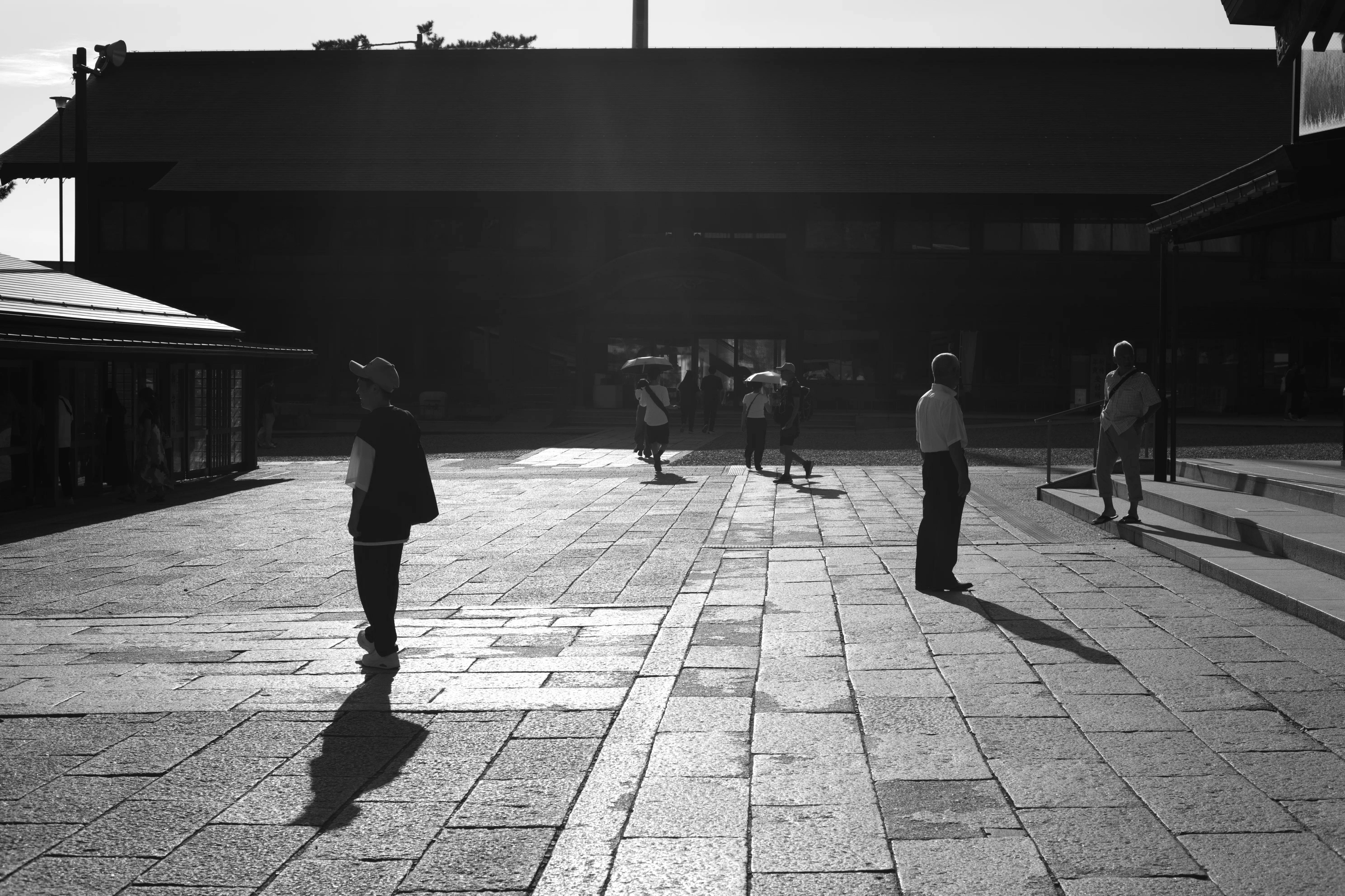 Voigtlander NOKTON 50mm F1.5 Vintage Line Aspherical VMで出雲大社