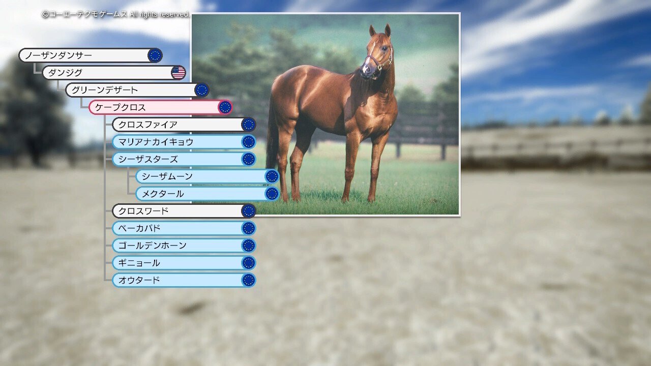 Winning Post 10 2024 ケープクロス 系統確立｜アリゼオ