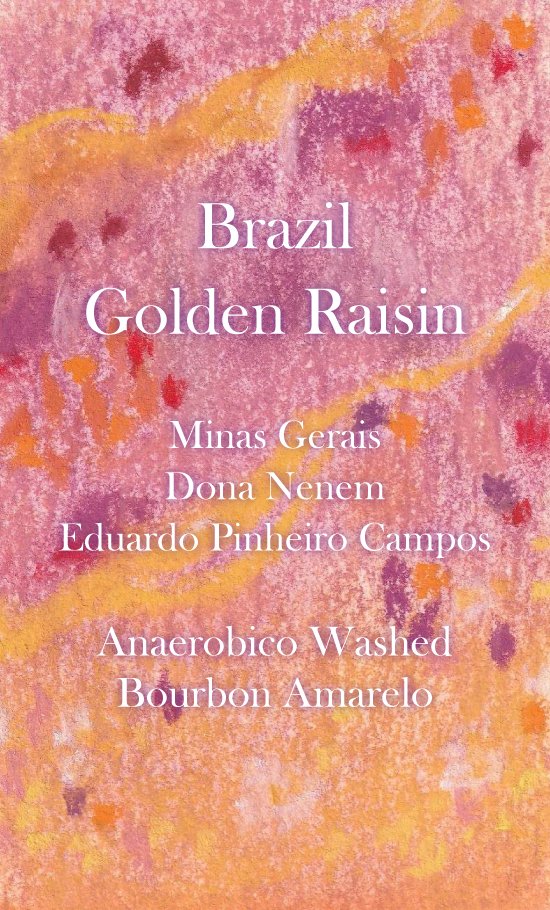 Brazil Golden Raisin|喫茶 青時雨