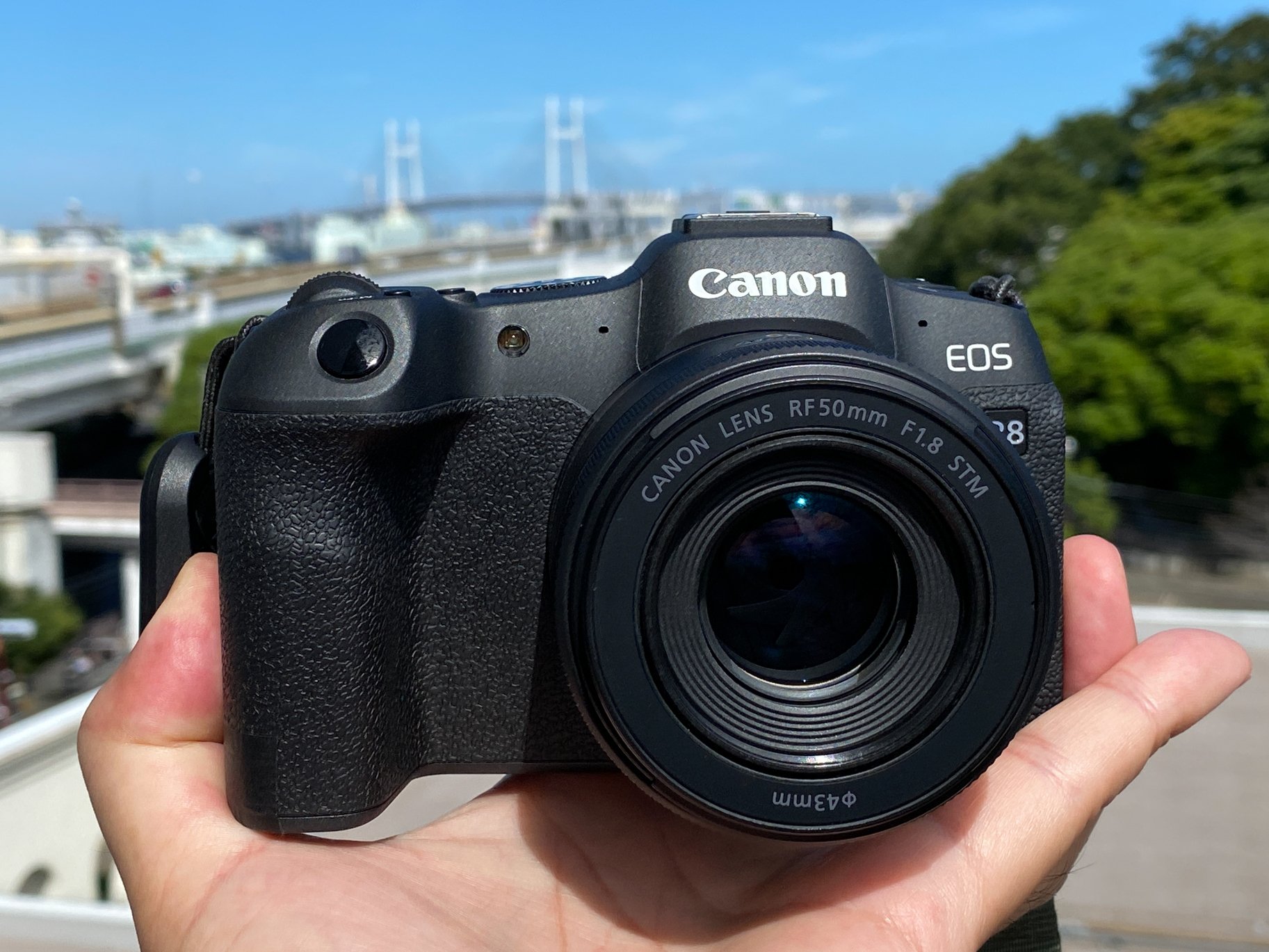 EOS R8 試写(#1616)｜RURI