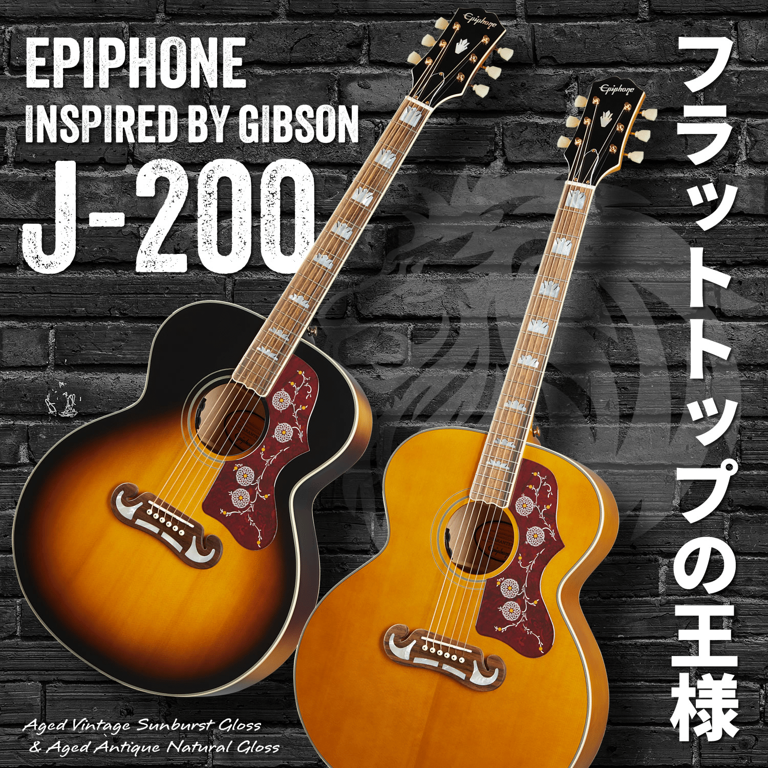 キング・オブ・フラットトップ！ギブソン直系エピフォンによる「J-200