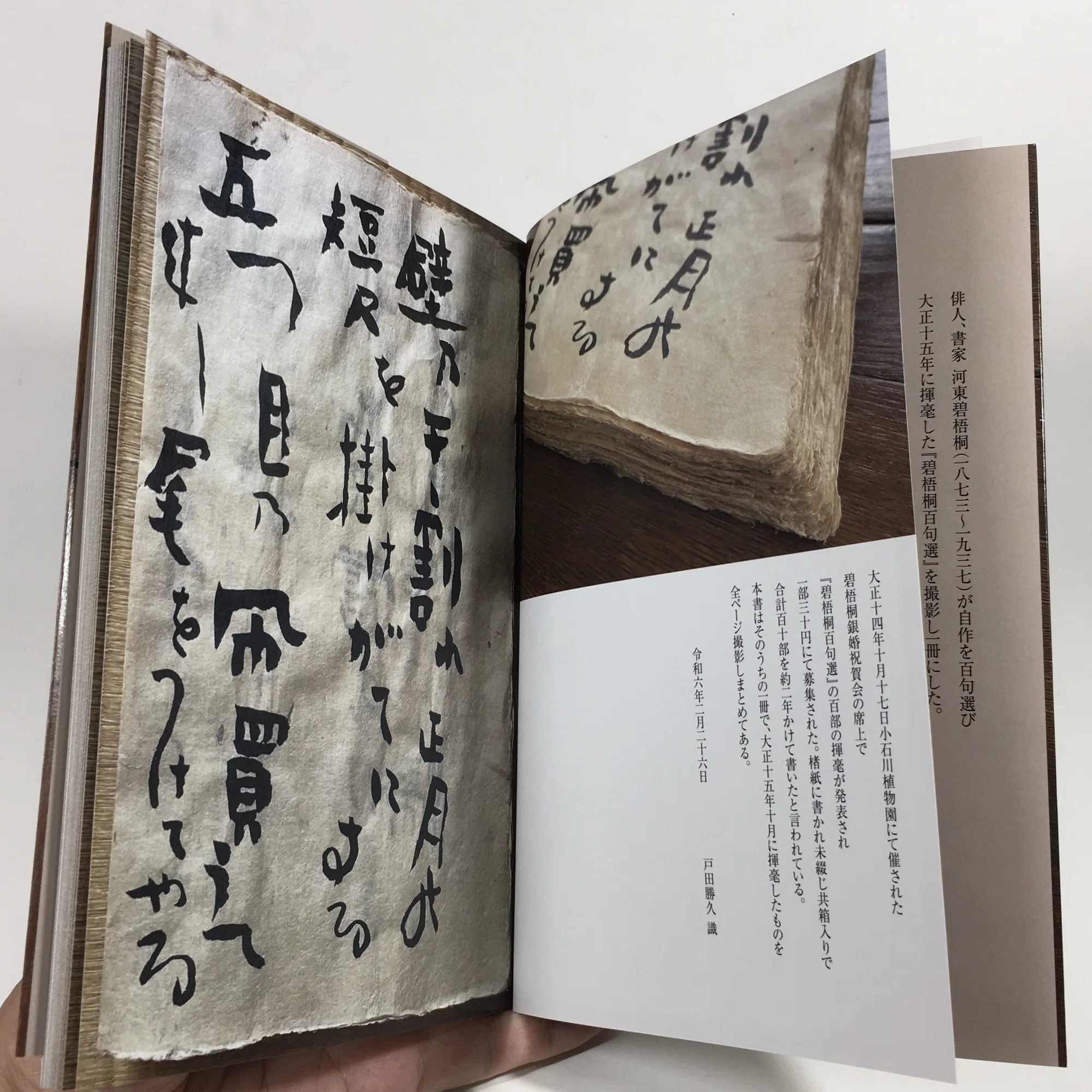 一朝ハコスモスの中羽生えて孵る風ふく｜daily-sumus note