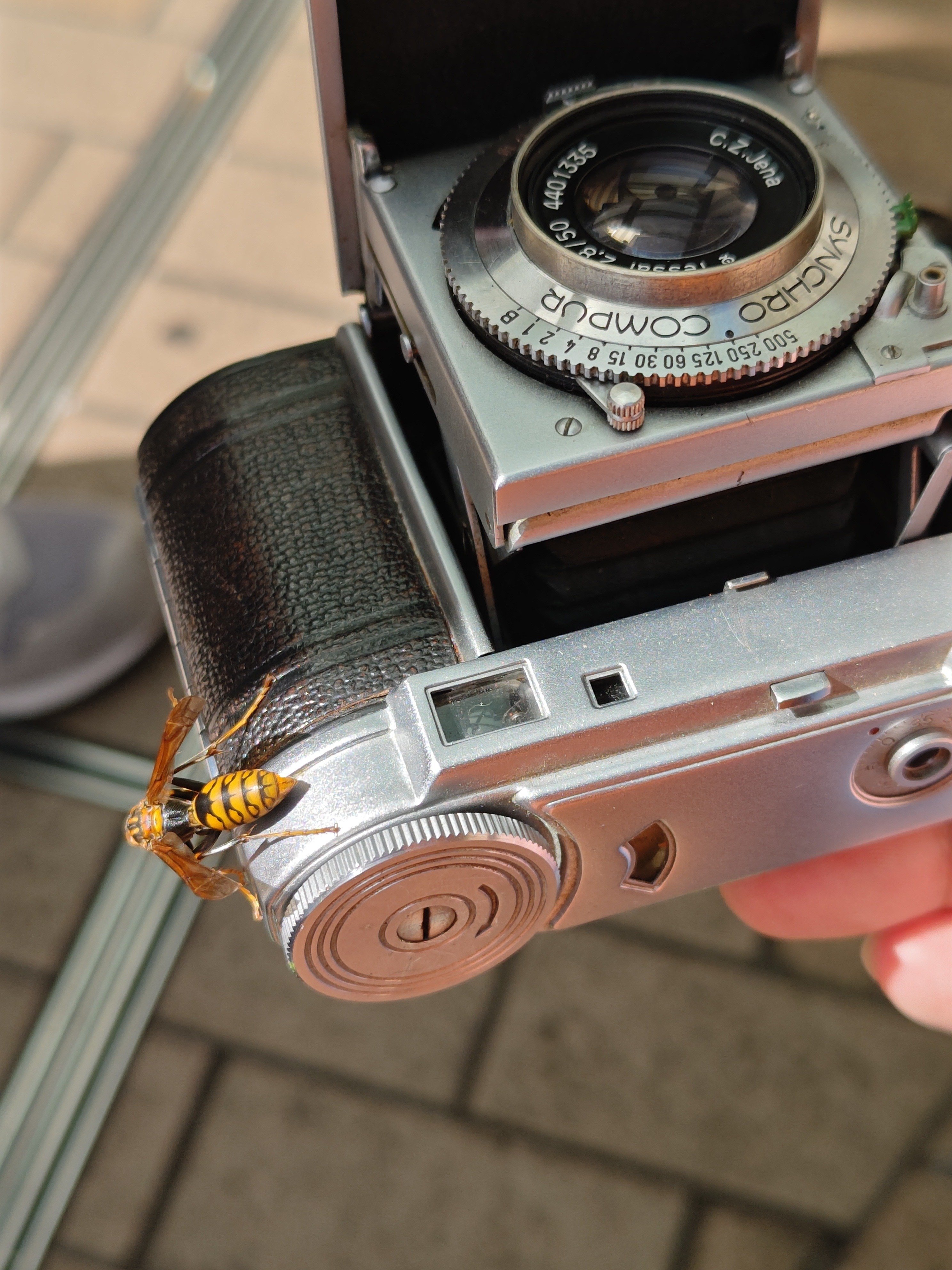 第121回フィルムさんぽ（コンパクトカメラ回）に参加してきた件
