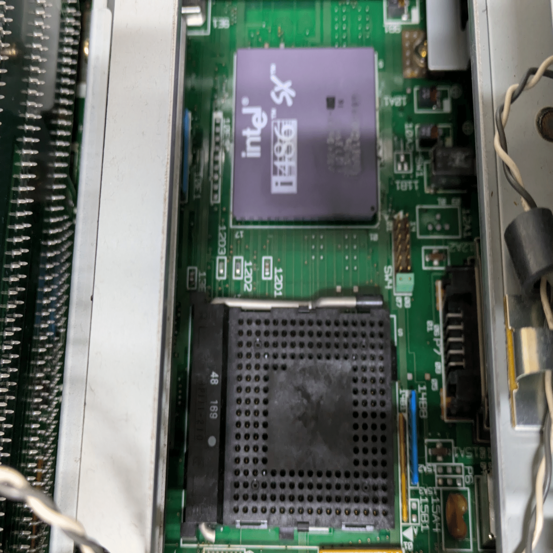 わかってきた｜ねりうに