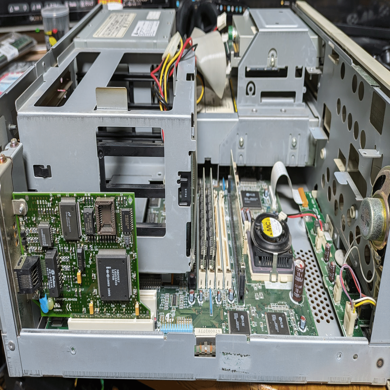 わかってきた｜ねりうに