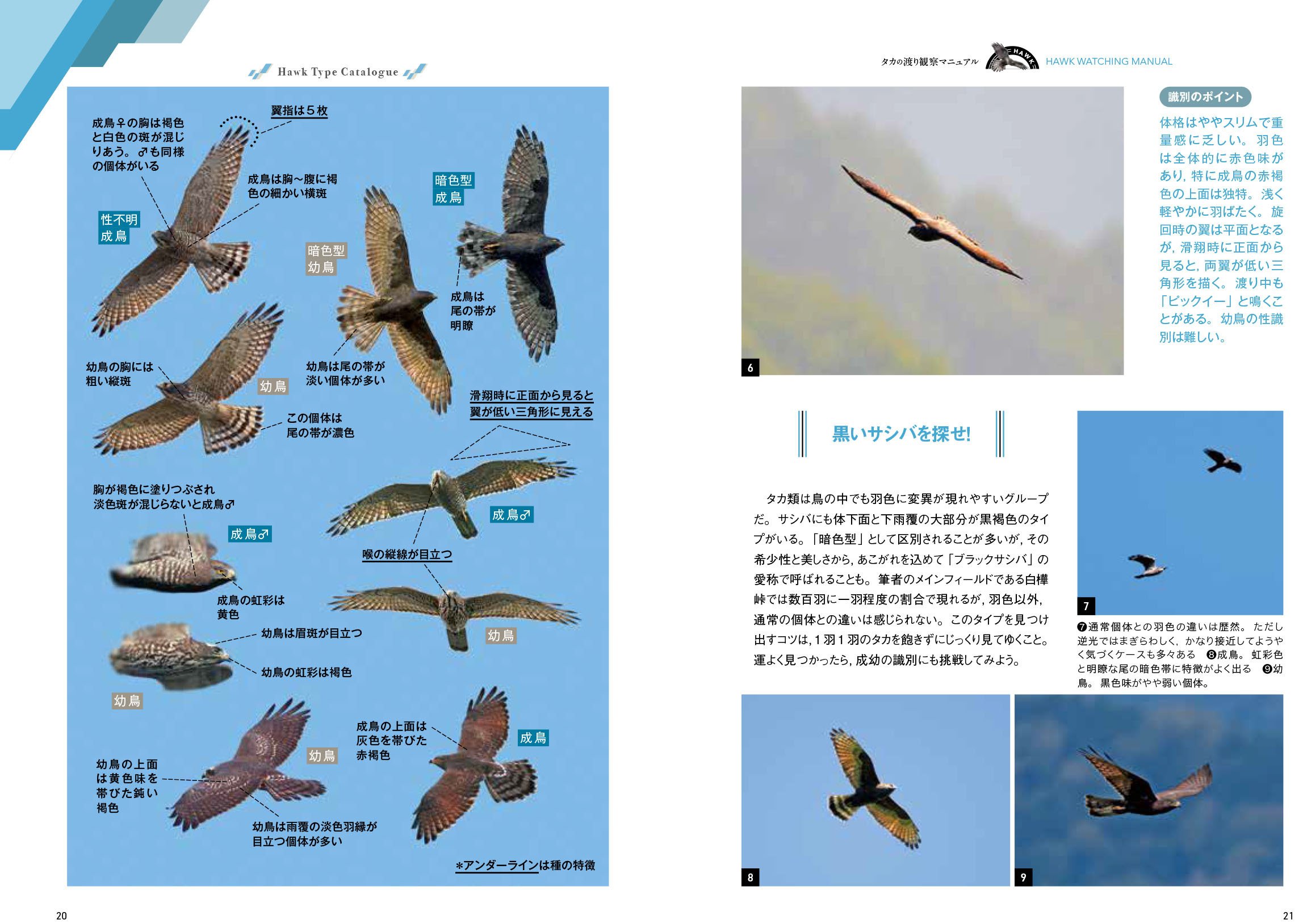 猛禽類、ハト、水鳥マニュアル