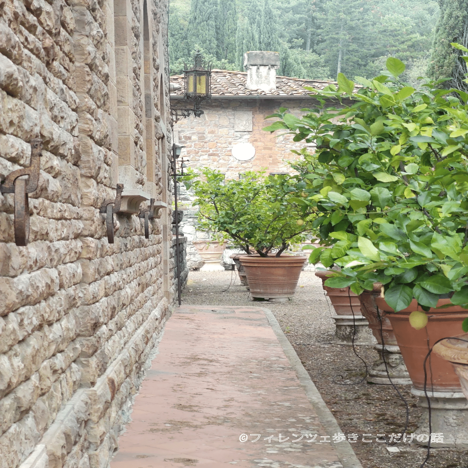 フィレンツェの知られざる庭園｜フィレンツェ歩き ここだけの話