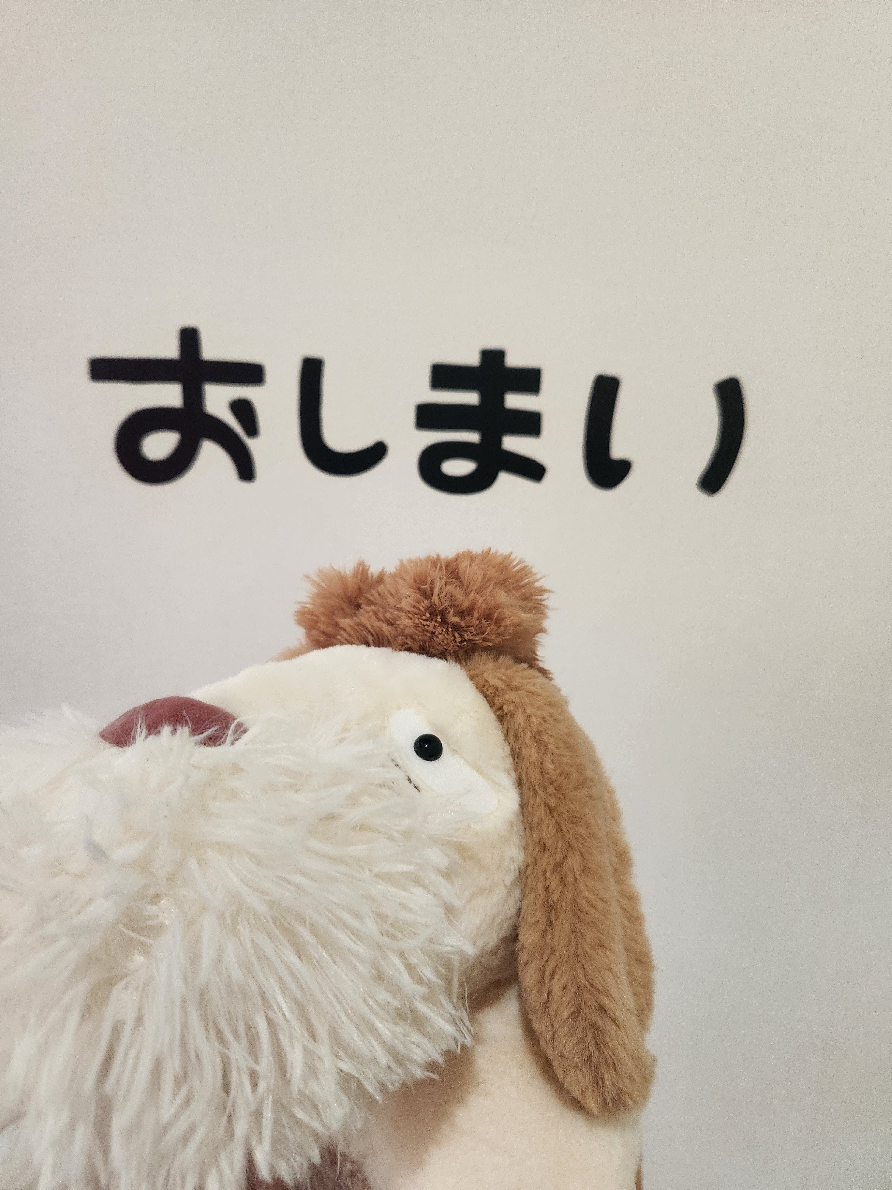 ジブリパークのヒンを絶対に手に入れたい人へ(始発など朝早く行く方