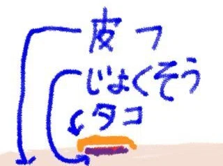 弱々しい皮膚を下にした状態