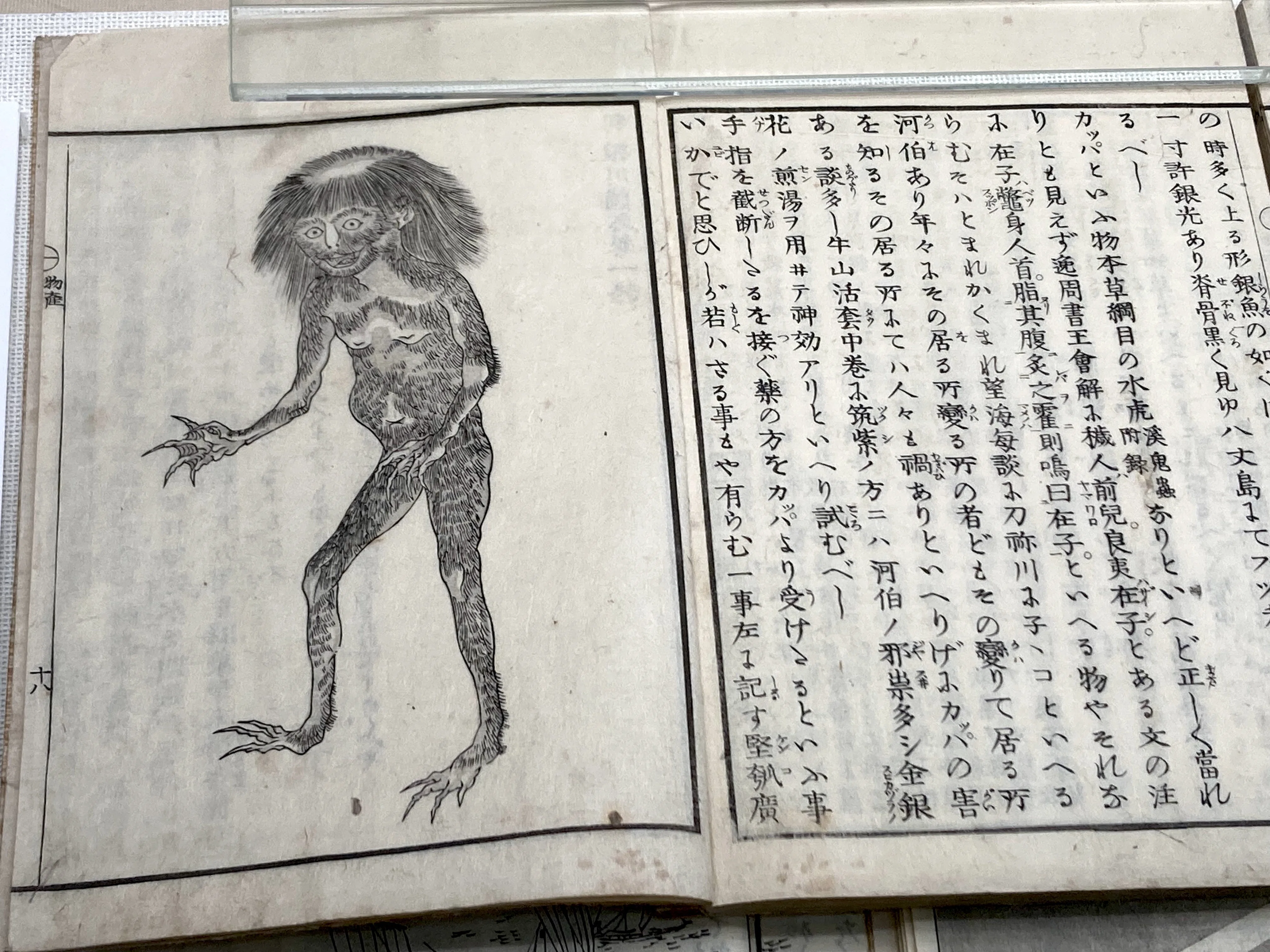 河童の影｜RAMUNOS