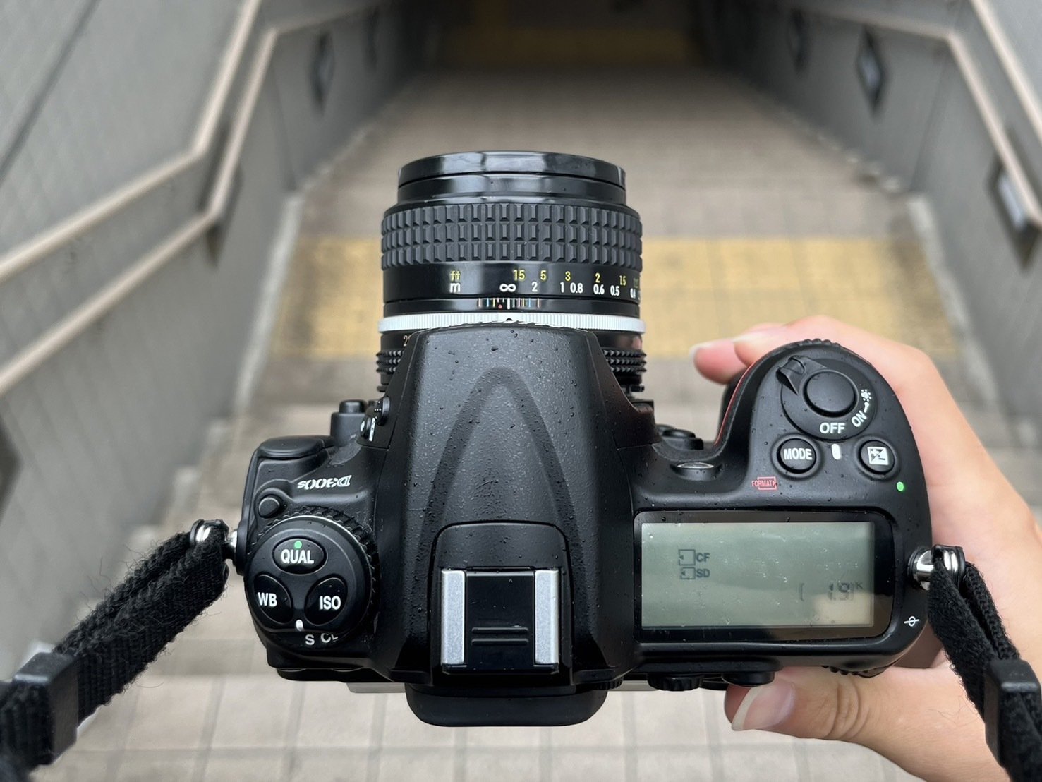 今でも変わらぬ旗艦機【Nikon D300s】|硝子窓 今でも変わらぬ旗艦機【Nikon D300s】|硝子窓